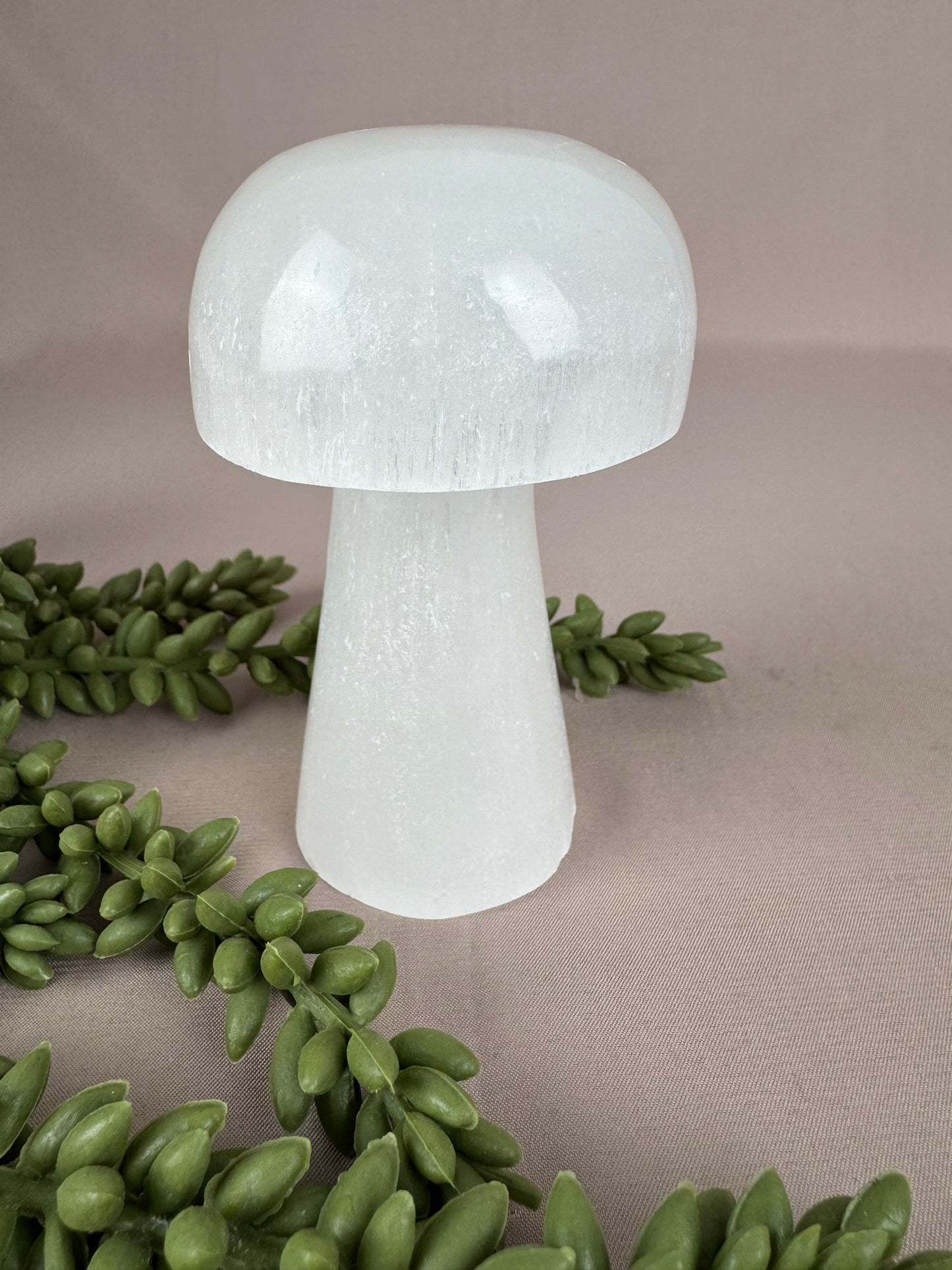 Paddenstoelen Seleniet set