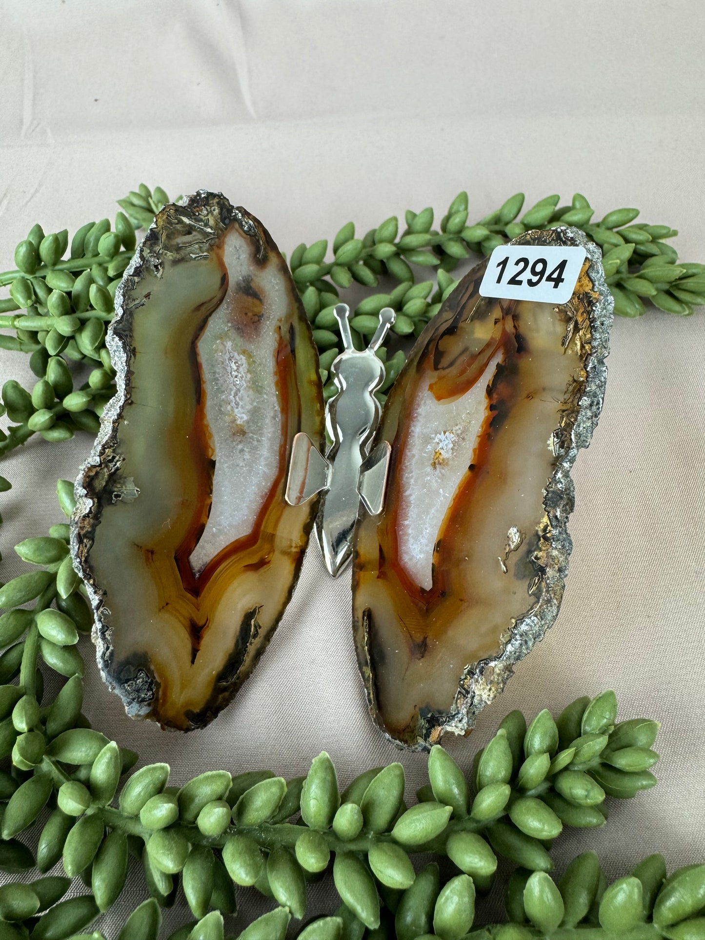 Agaat vlinder #1294