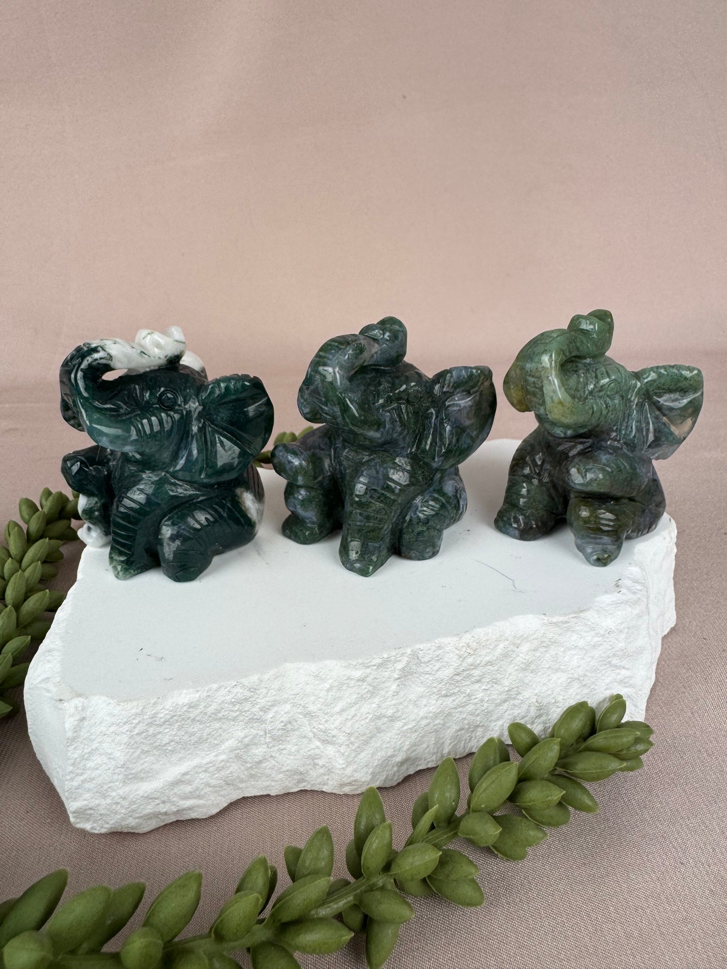 zittende olifant mosagaat