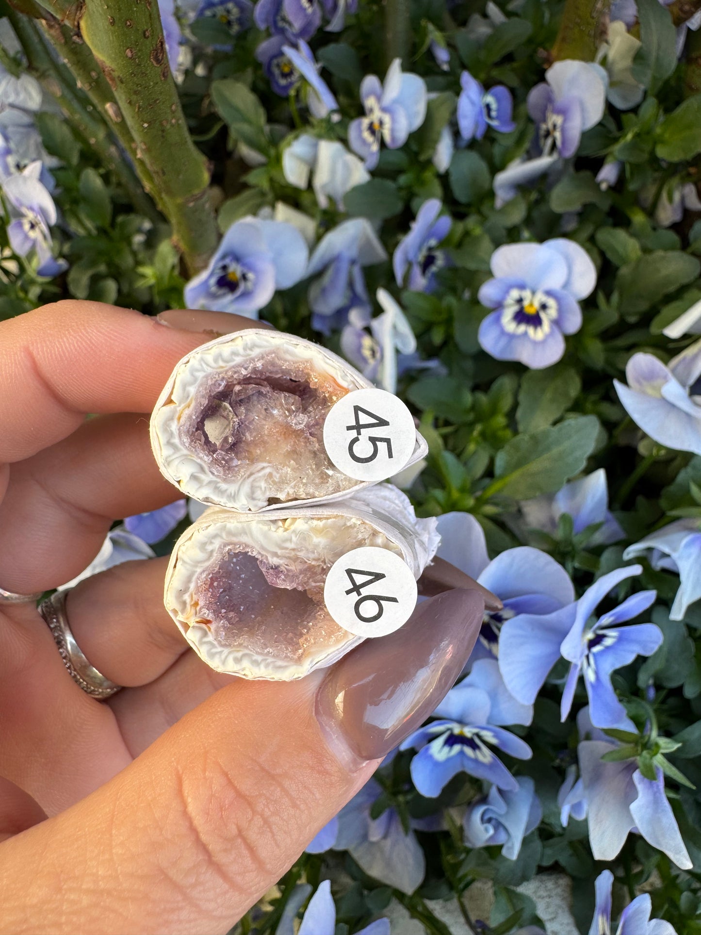 Agaat geode doos 4 met amethist
