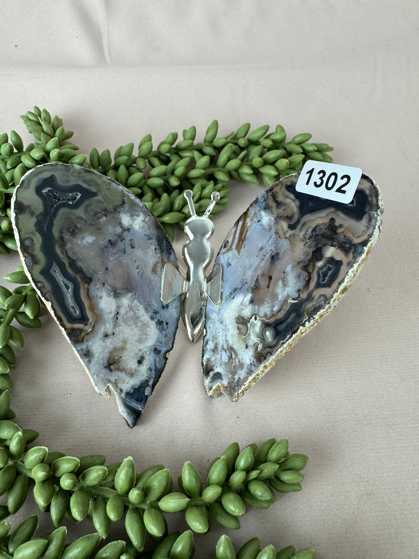 Agaat vlinder #1302