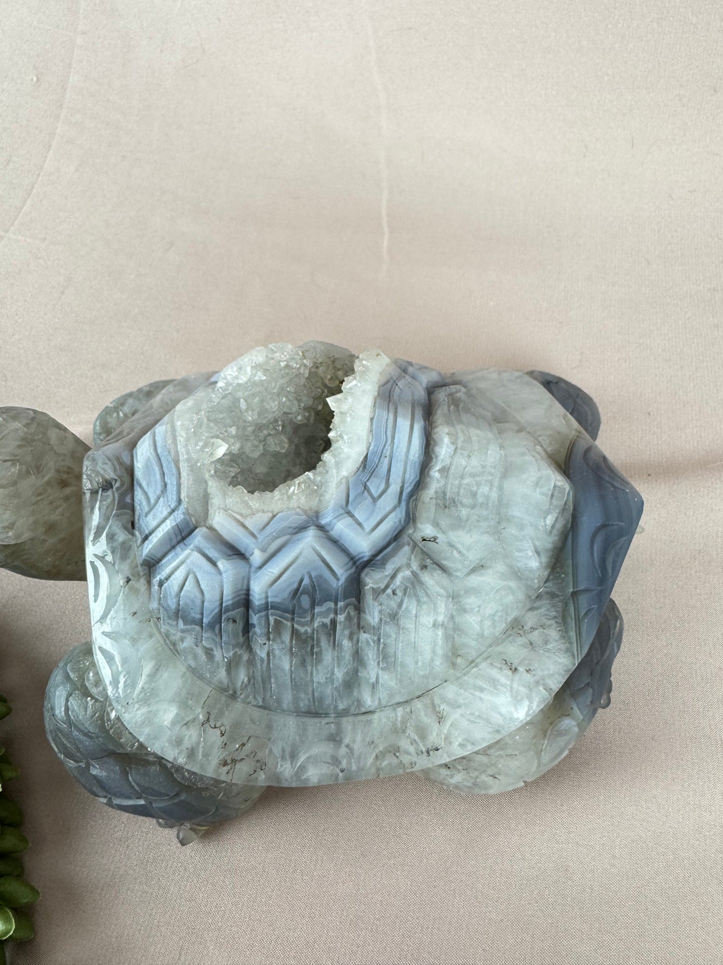 Xxl schildpad agaat