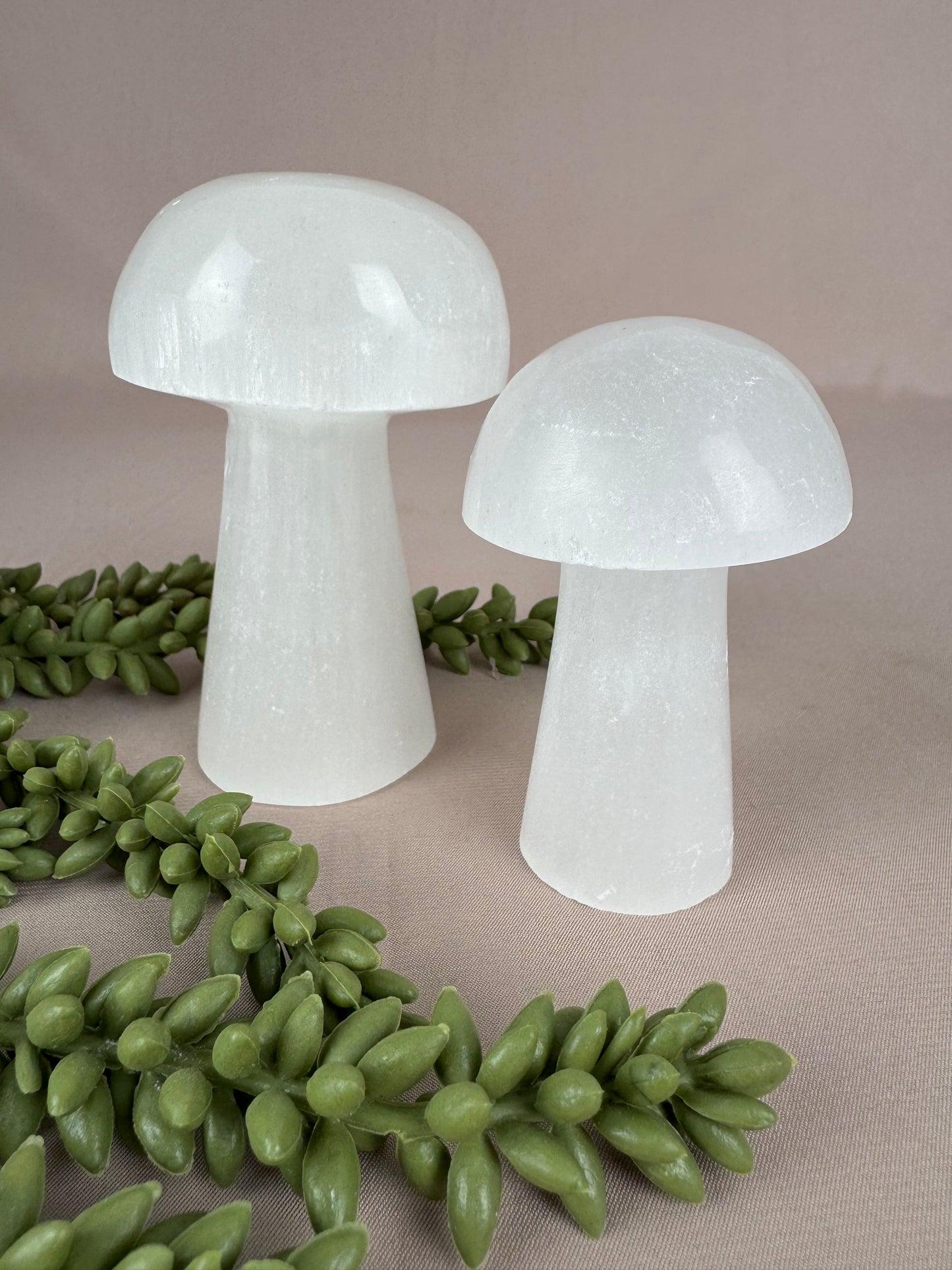 Paddenstoelen Seleniet set