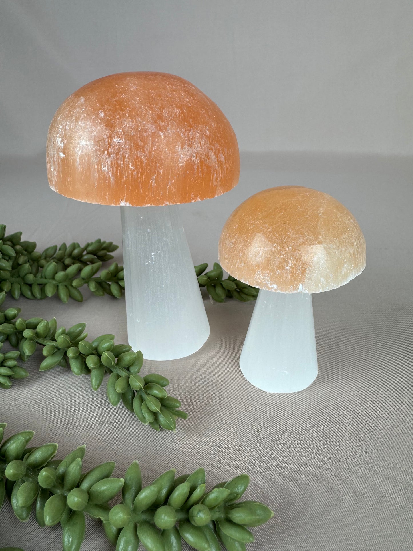 Paddenstoelen Seleniet set