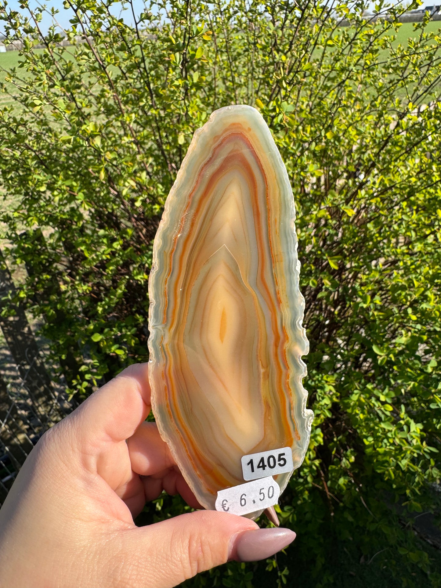 Agaat schijf #1405