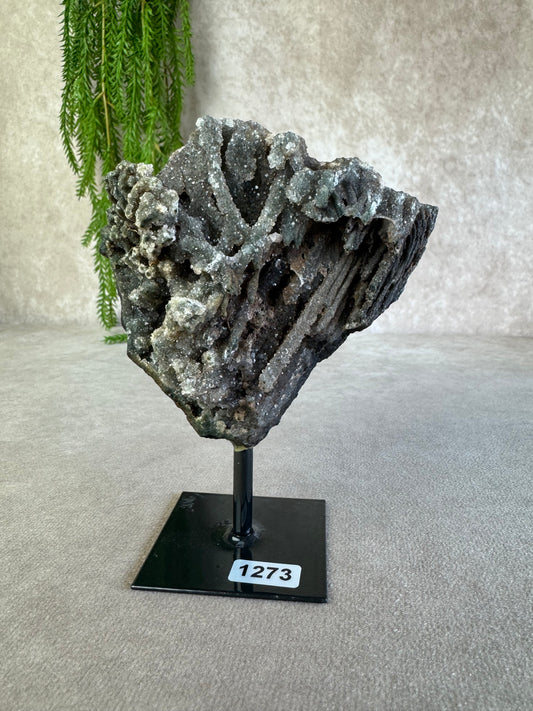 Chalcedoon op standaard #1273