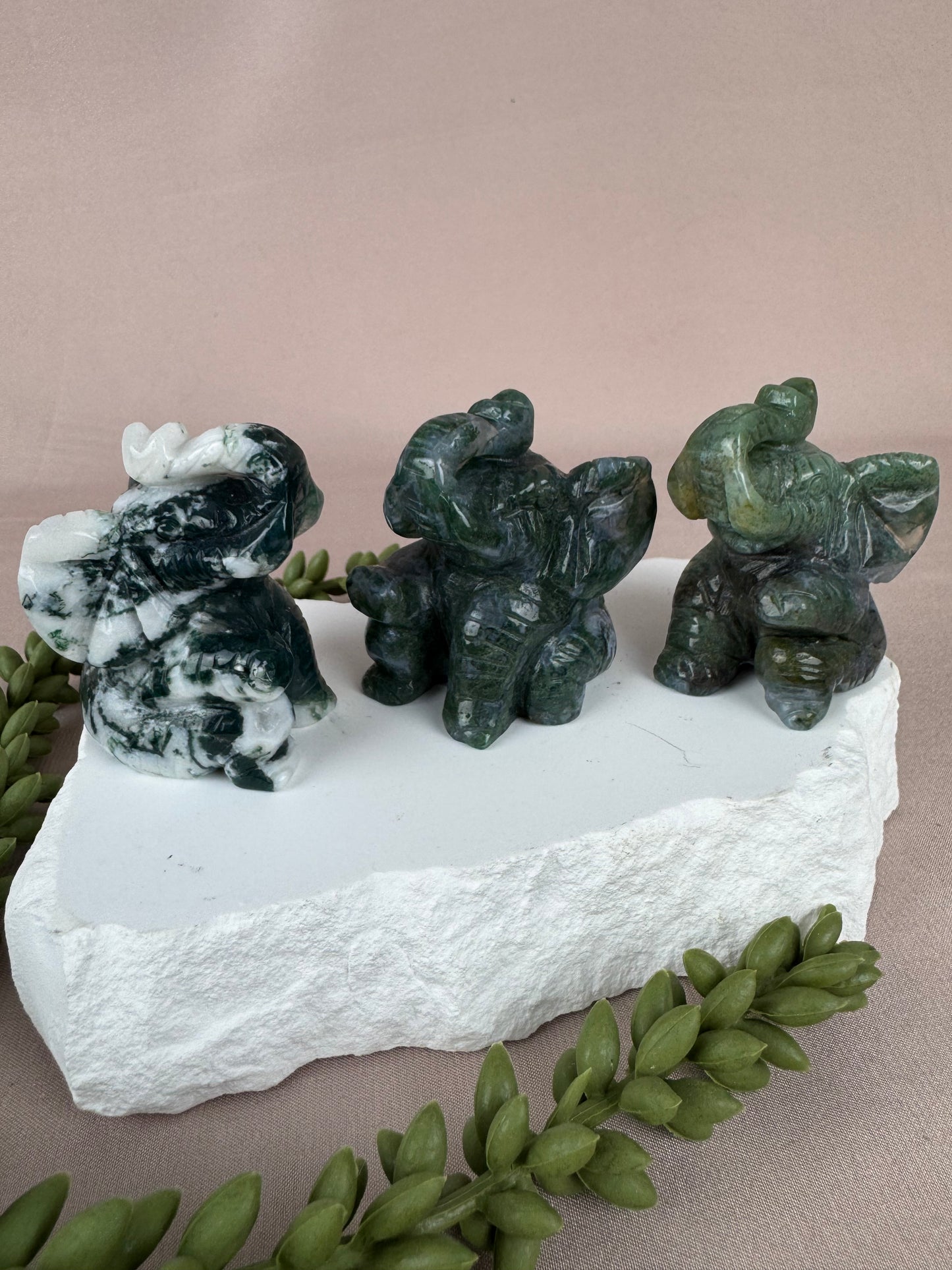 zittende olifant mosagaat