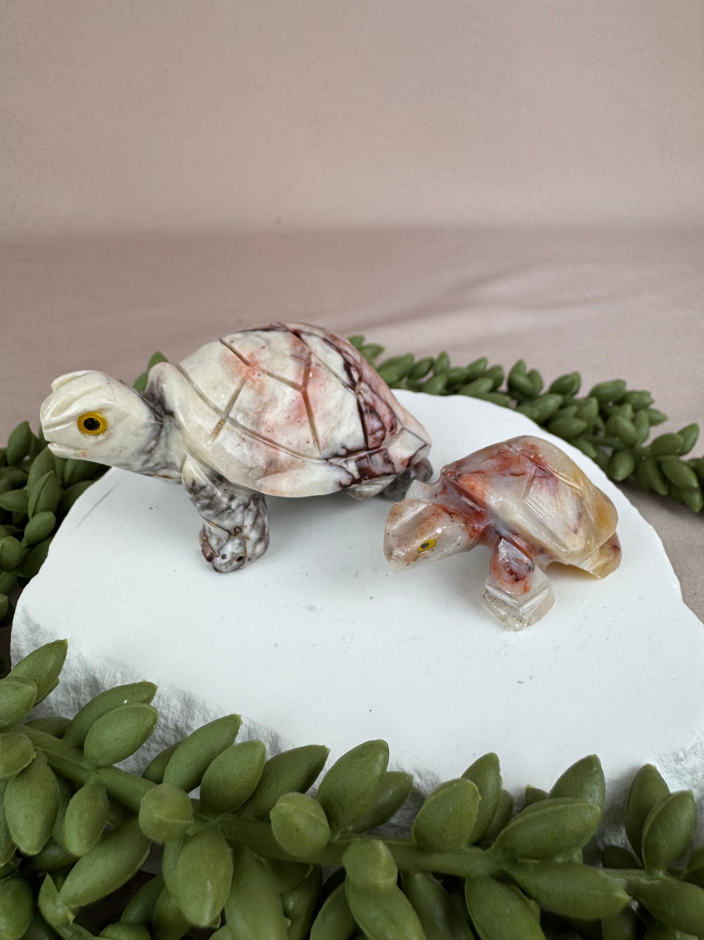 Speksteen schildpad