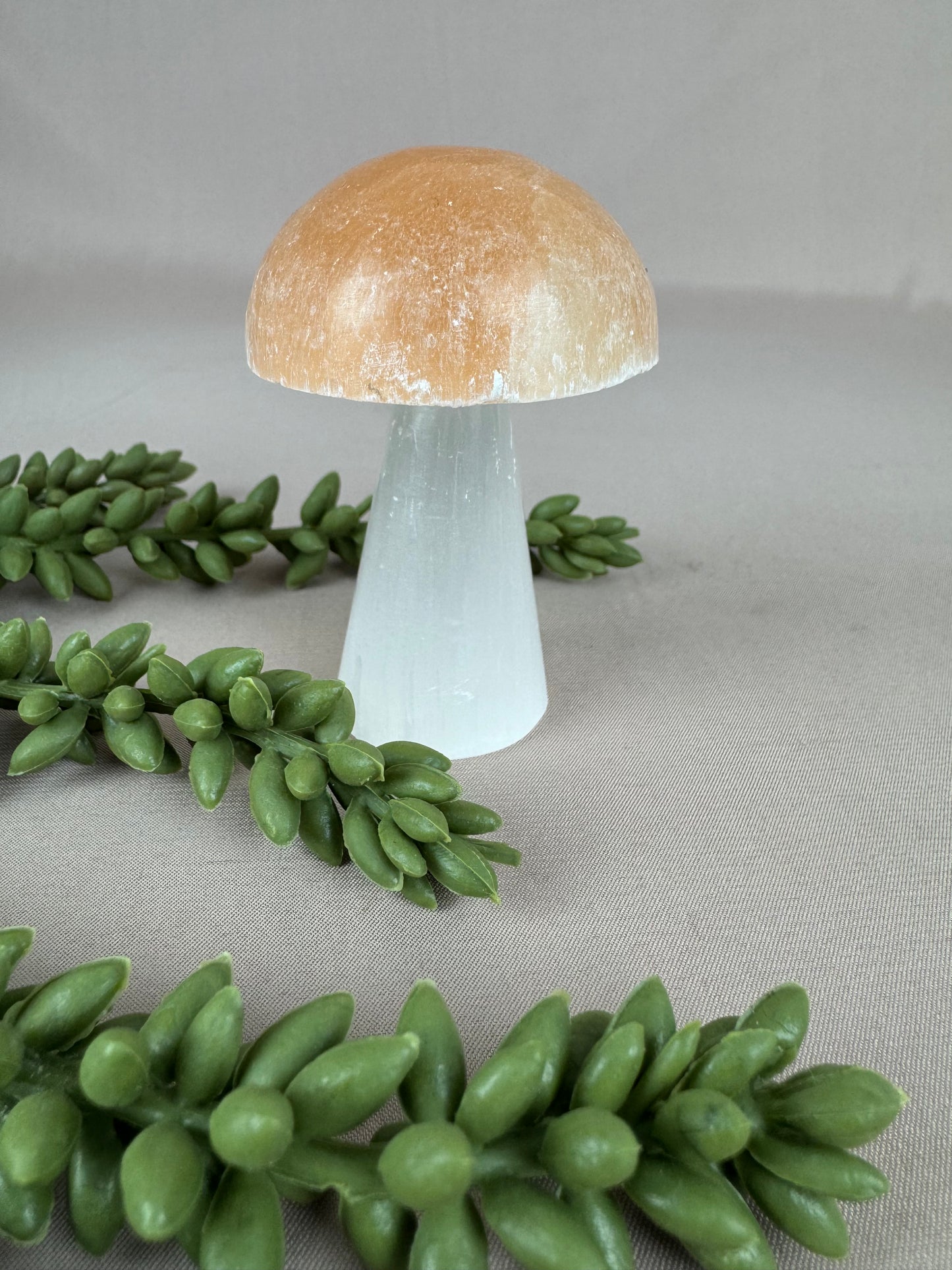 Paddenstoelen Seleniet set