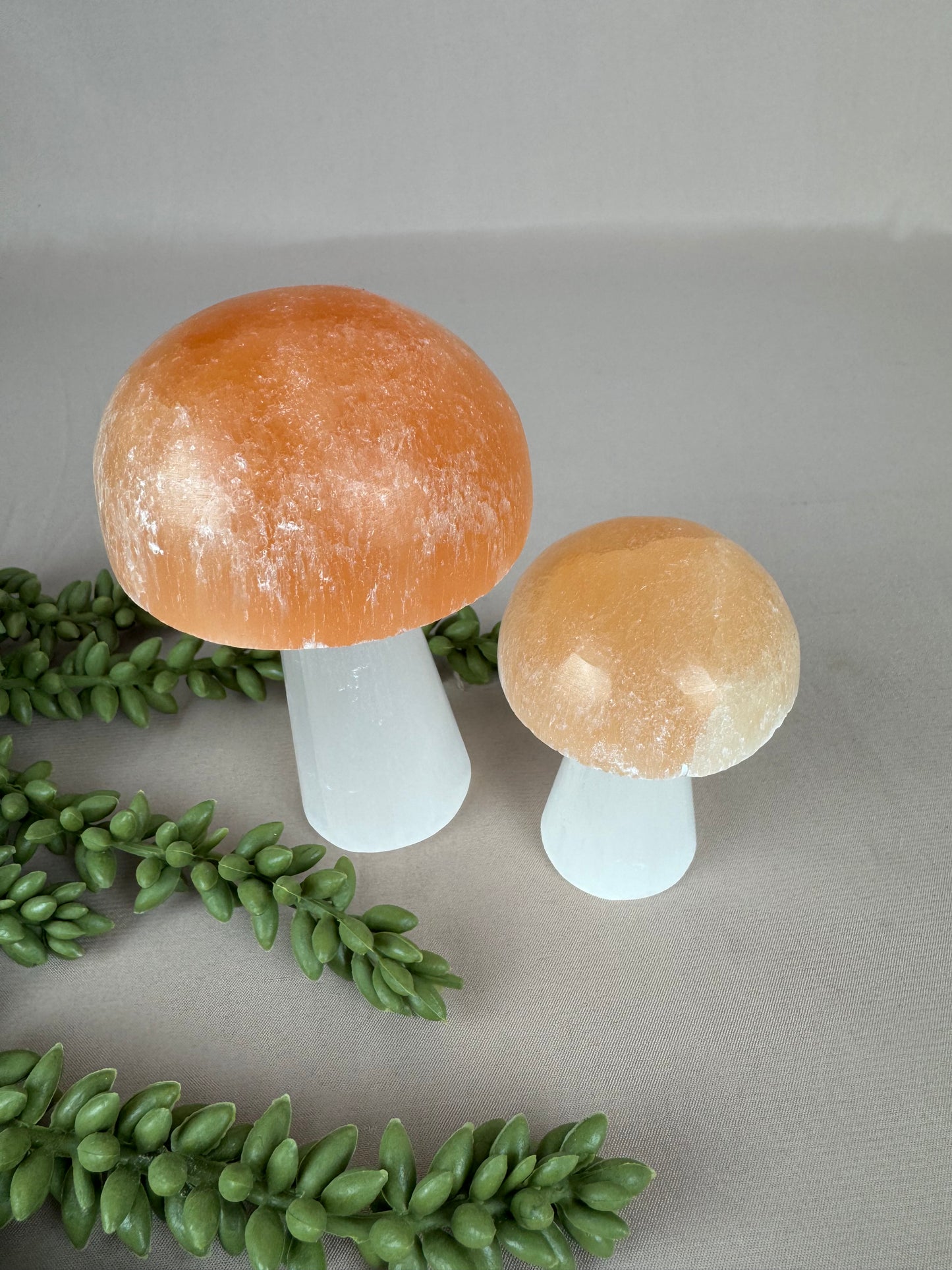 Paddenstoelen Seleniet set
