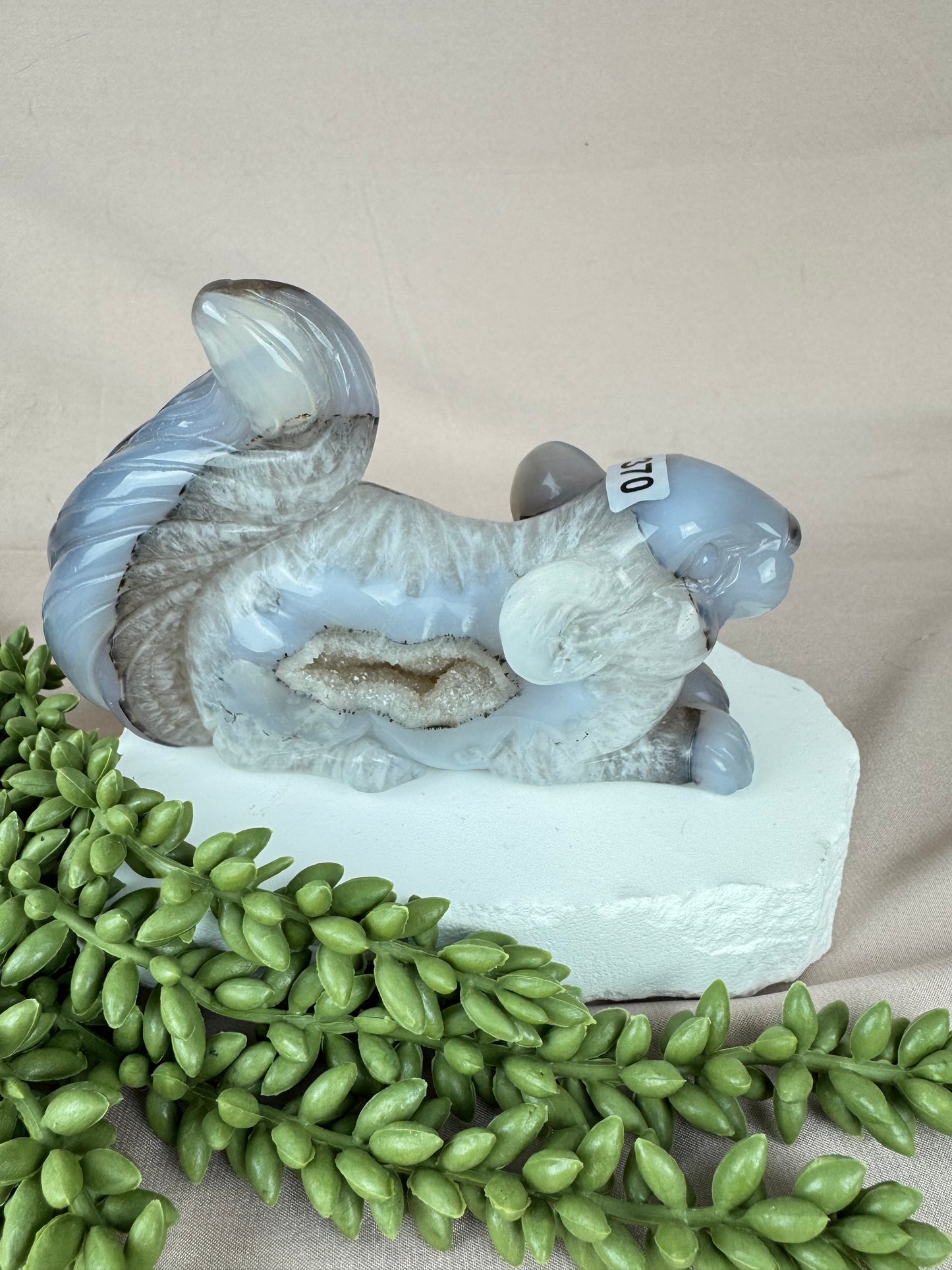 Agaat eekhoorn #1370