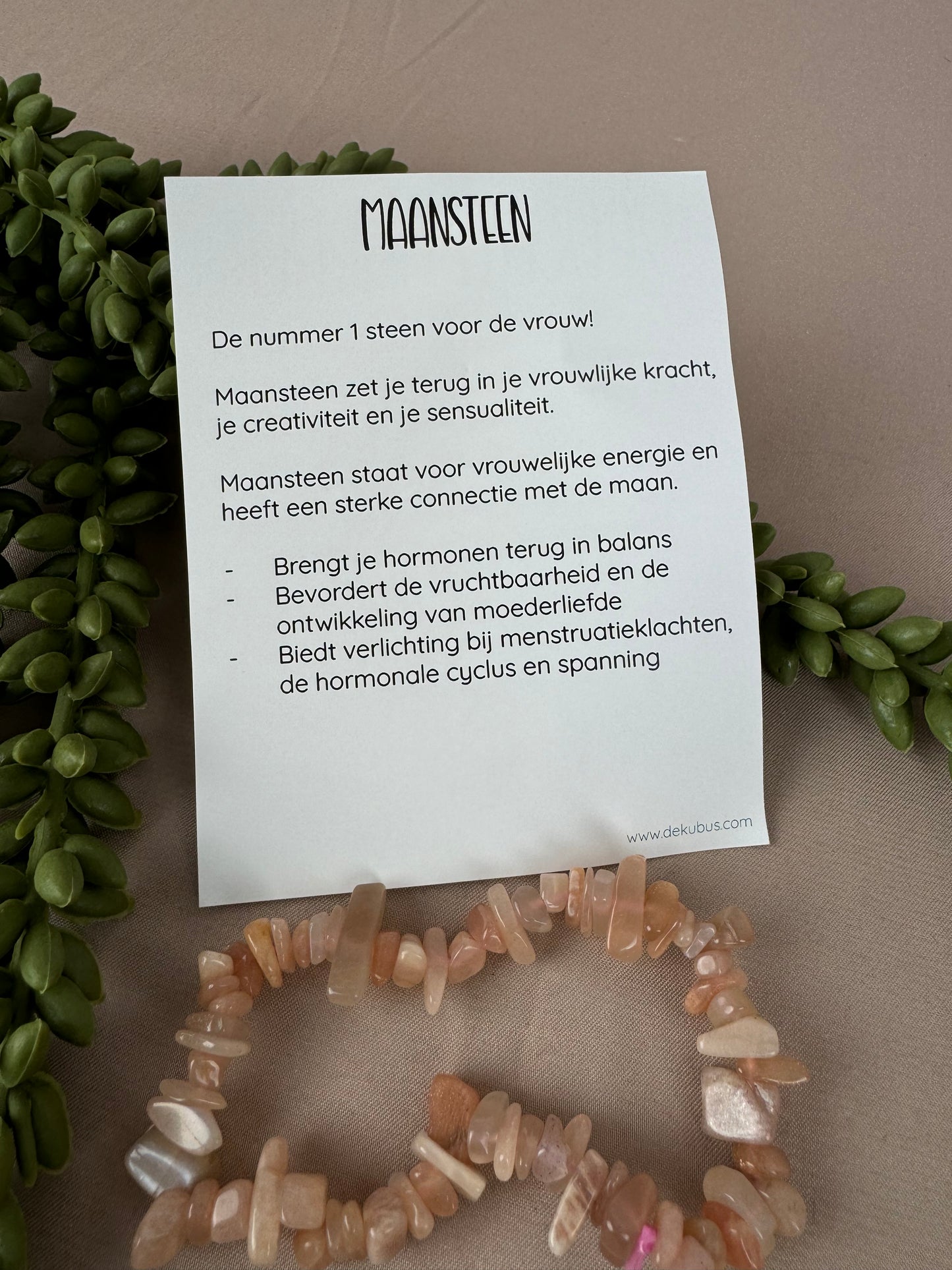 Cado zakje Vruchtbarheid