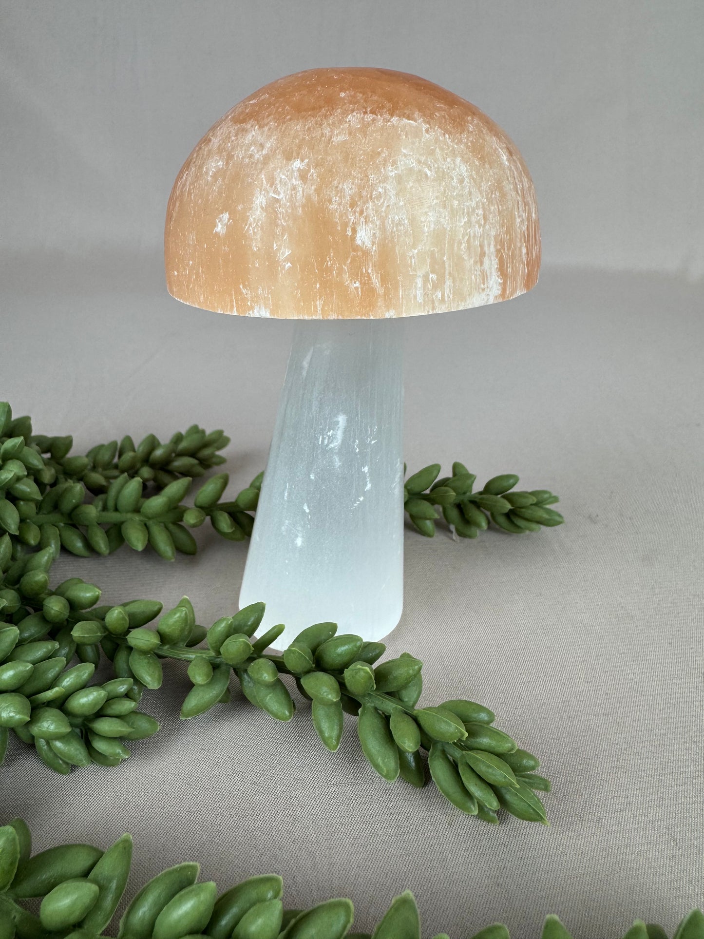 Paddenstoelen Seleniet set
