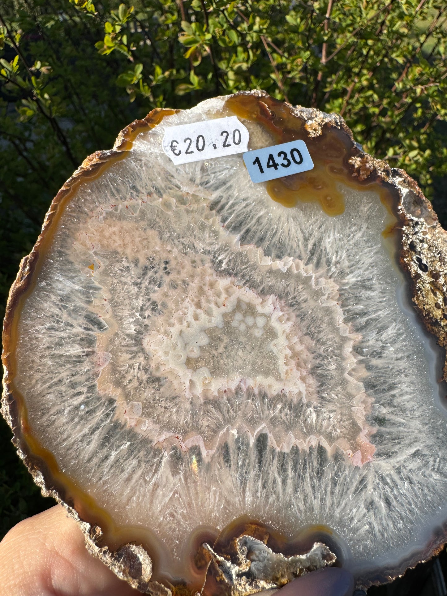 Agaat schijf #1430