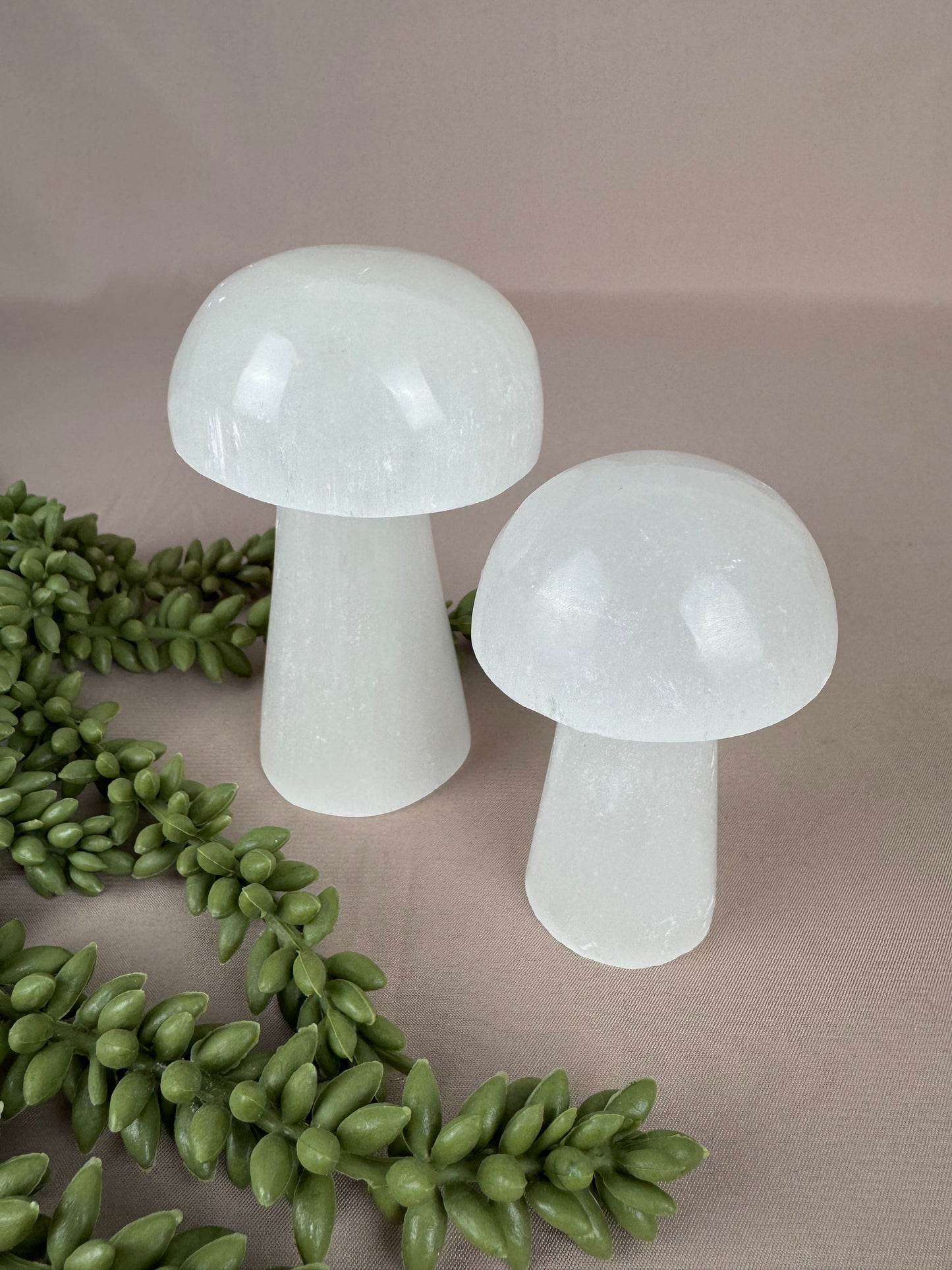 Paddenstoelen Seleniet set