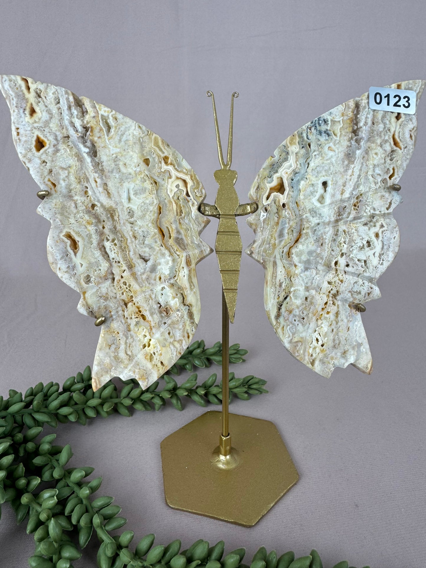 Crazy lace agaat vlinder #0123