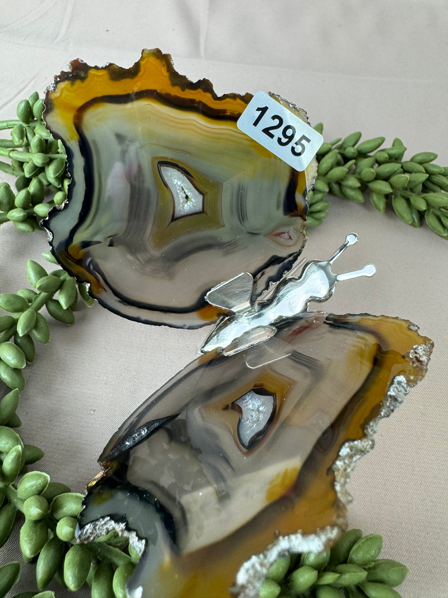 Agaat vlinder #1295