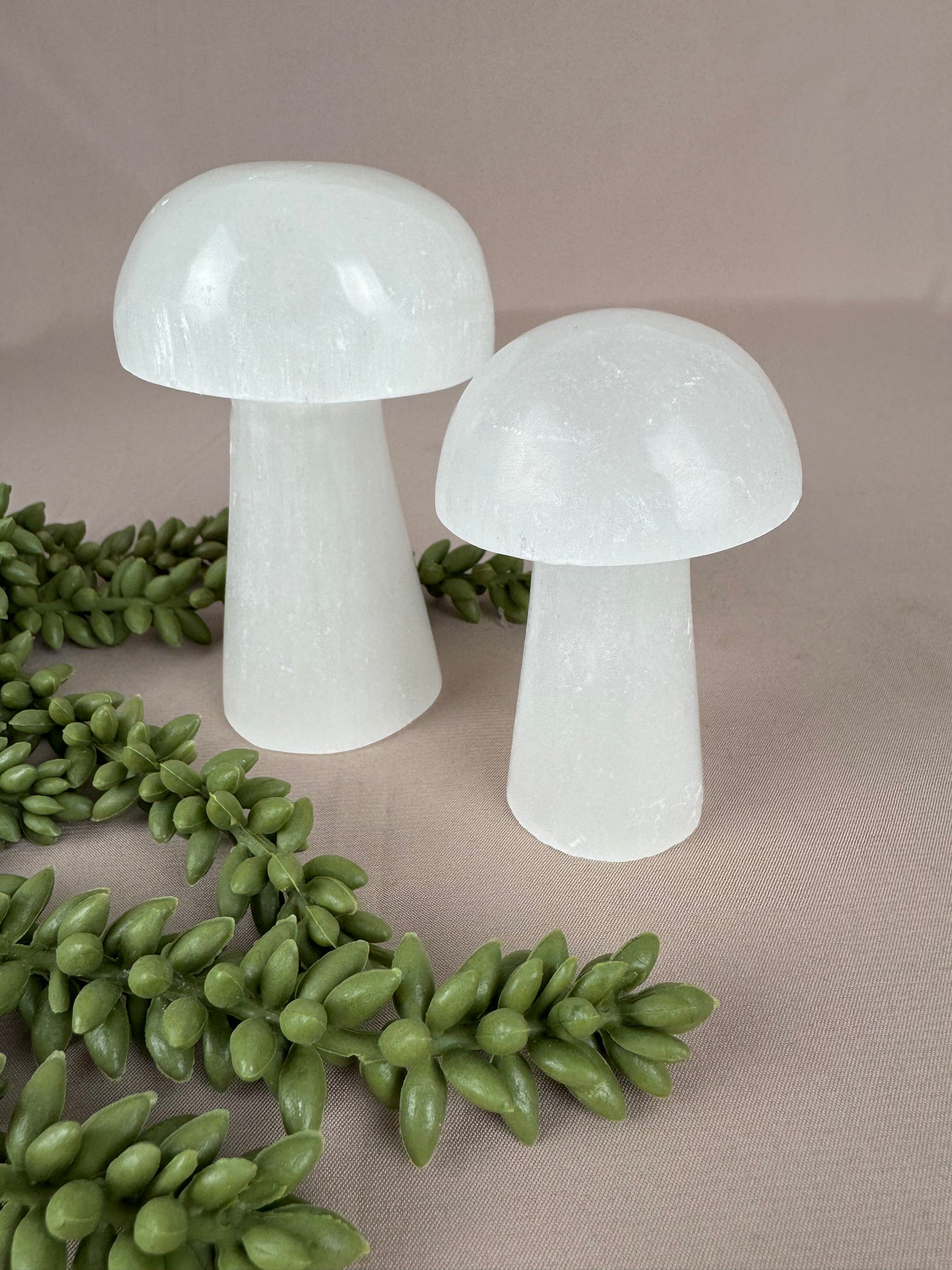 Paddenstoelen Seleniet set