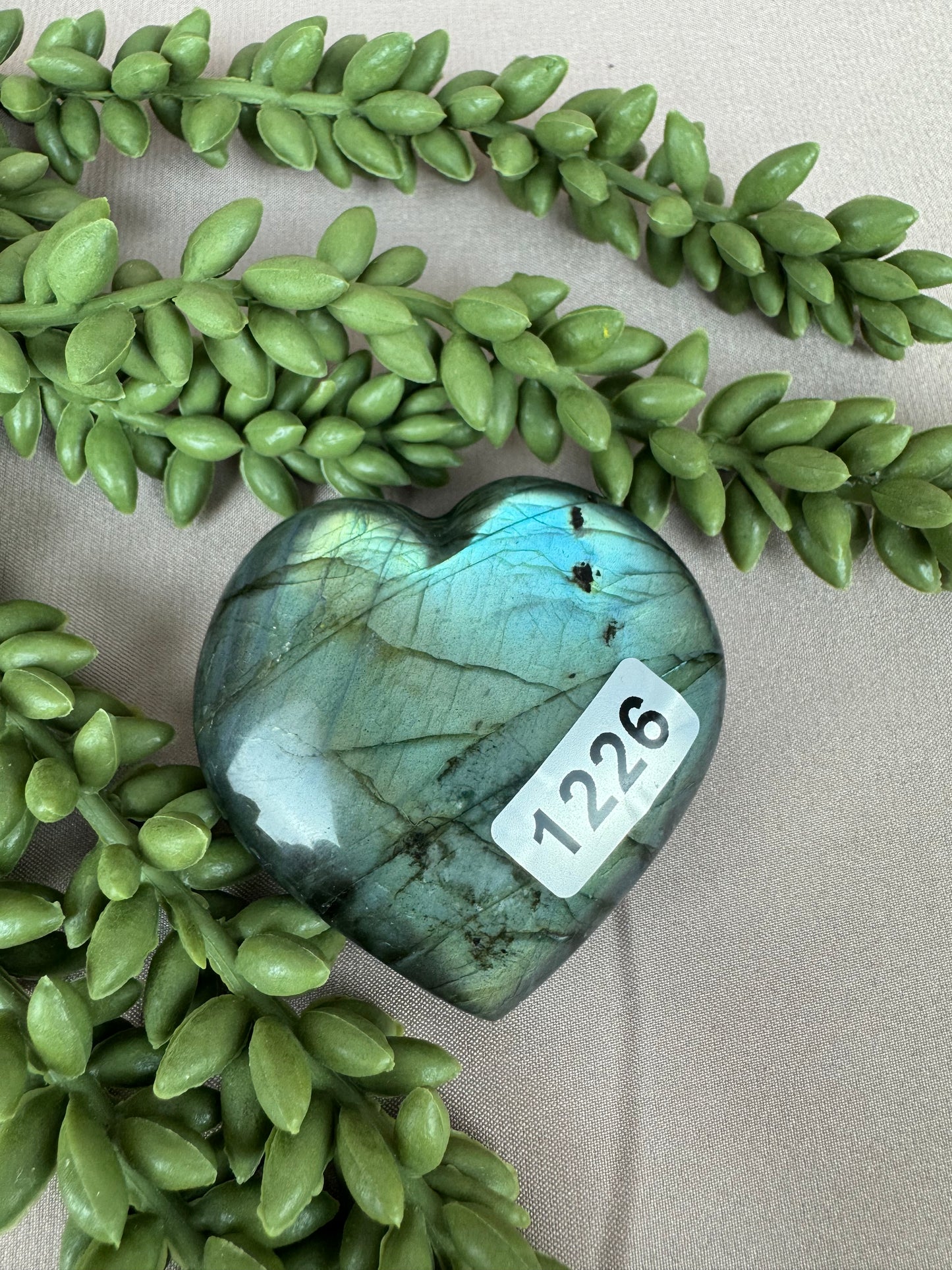 Labradoriet hart #1226