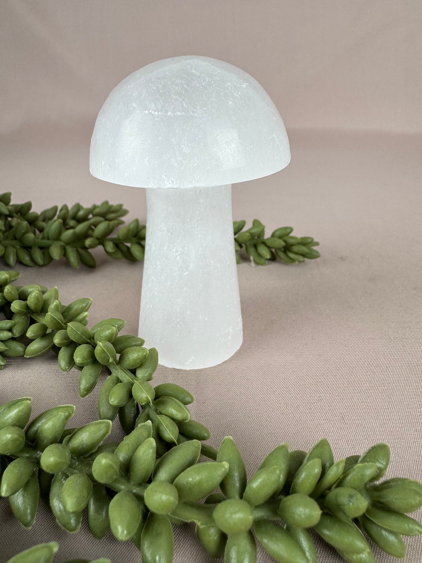 Paddenstoelen Seleniet set