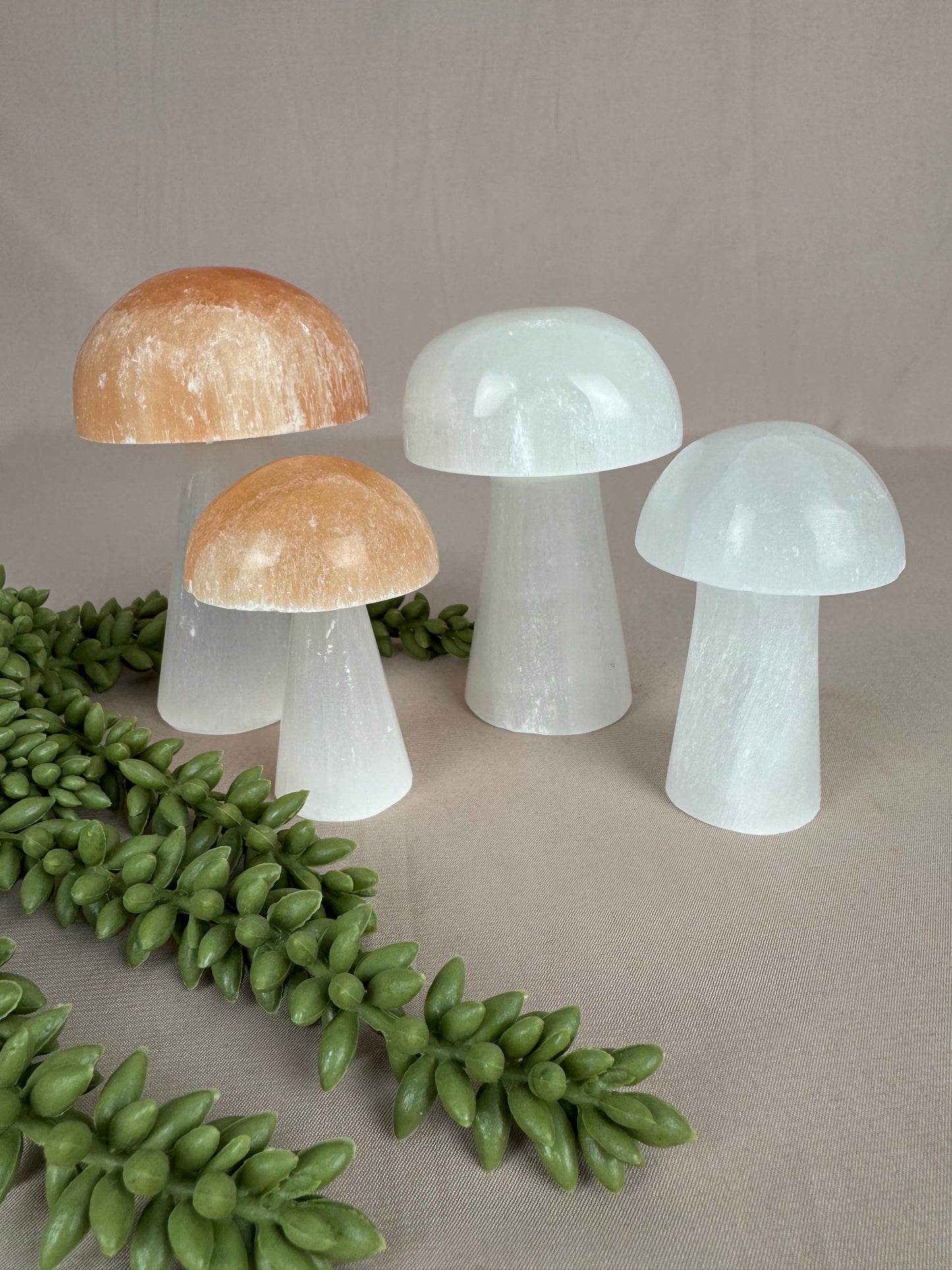 Paddenstoelen Seleniet set