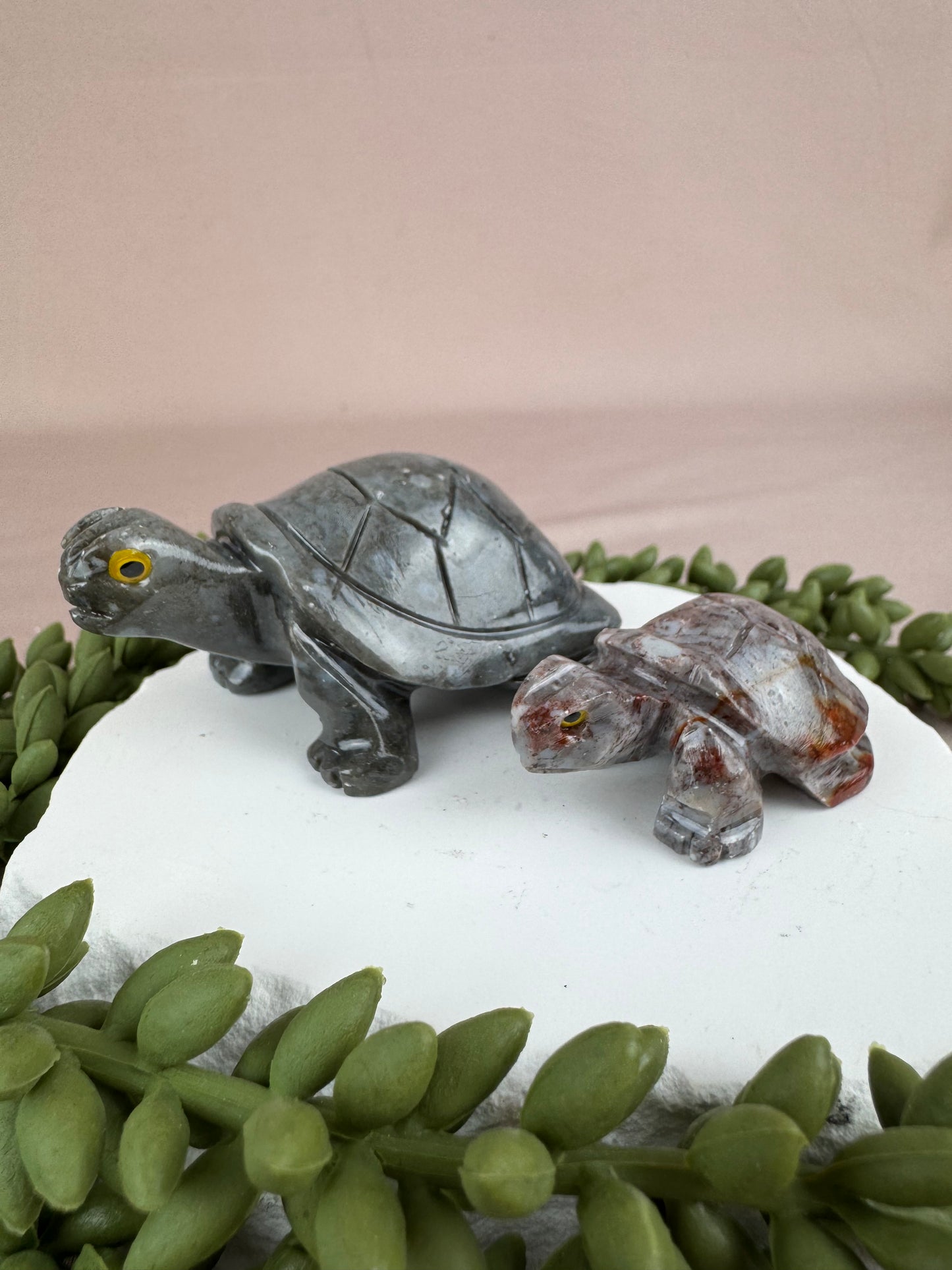 Speksteen schildpad