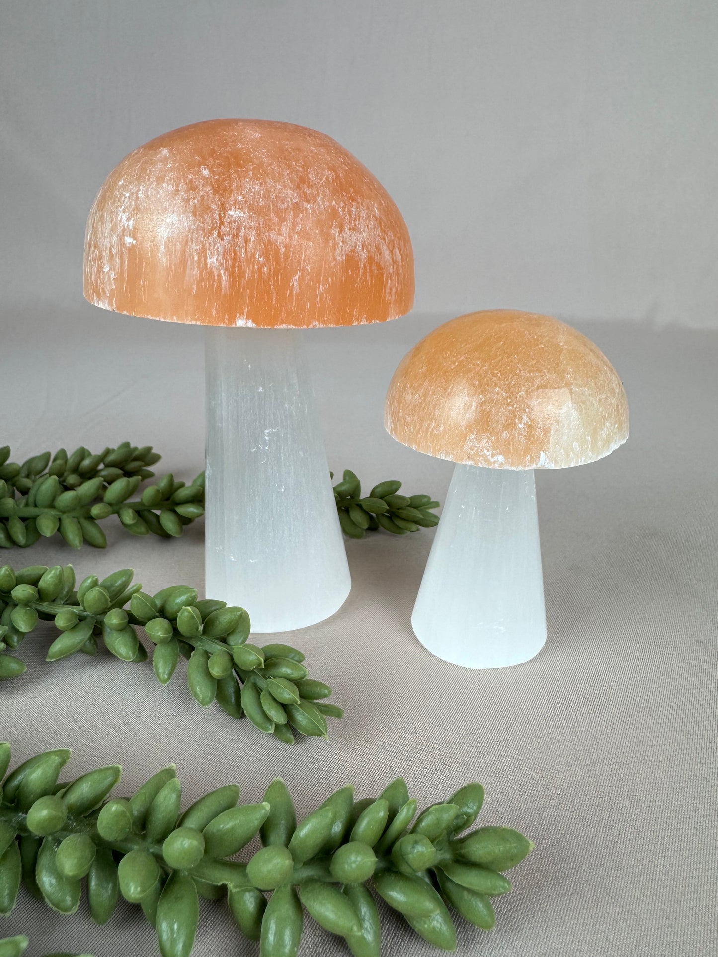 Paddenstoelen Seleniet set
