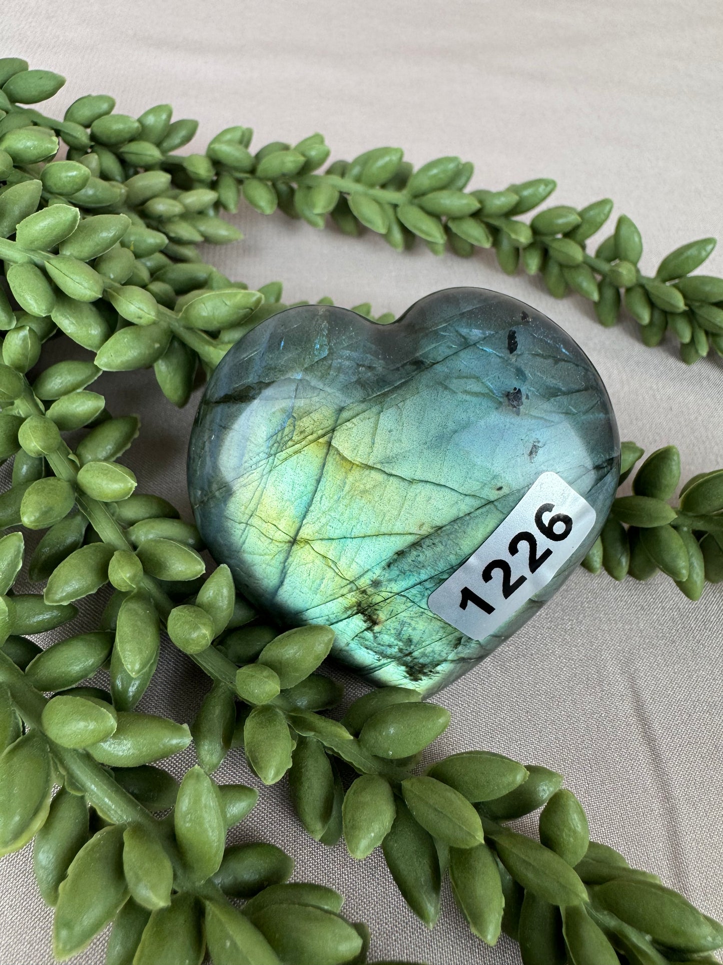 Labradoriet hart #1226