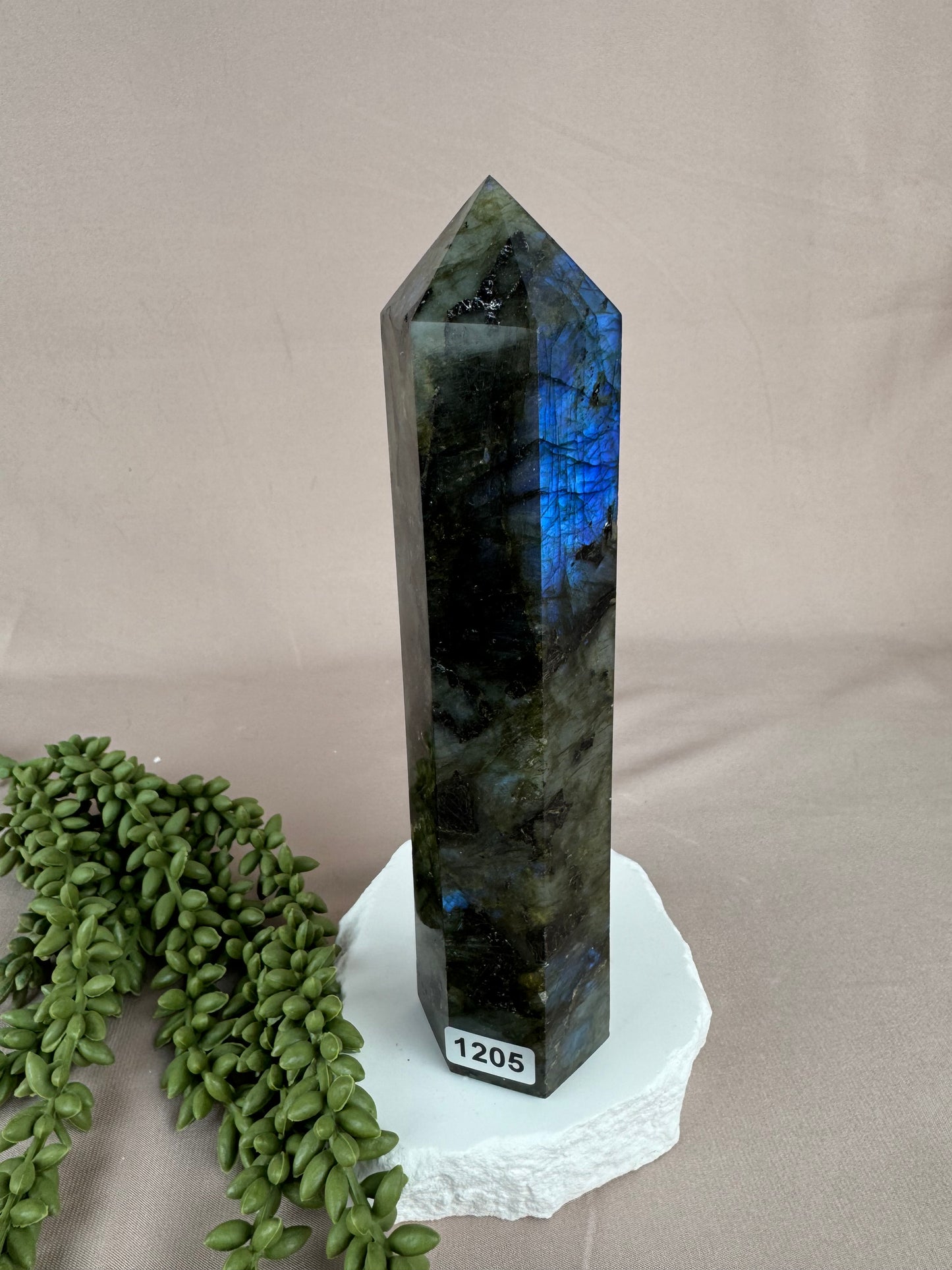 Toren labradoriet #1205