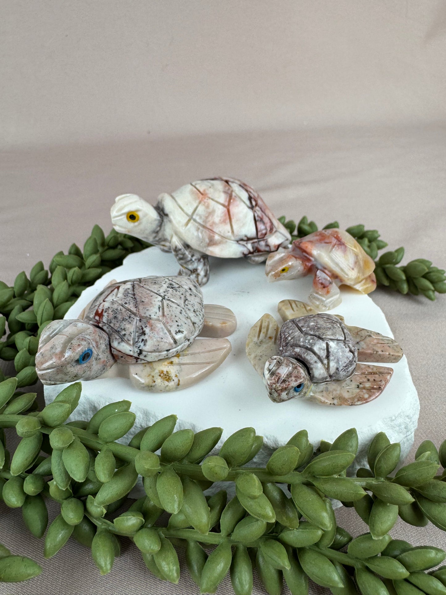 Speksteen schildpad