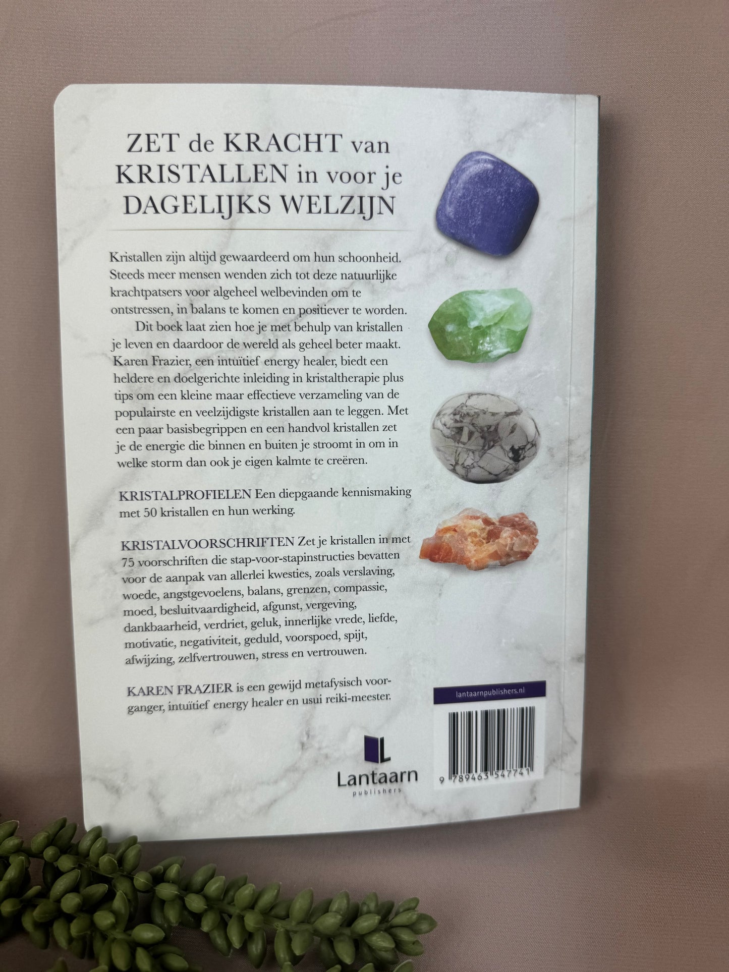 Boek Kristallengids voor beginners
