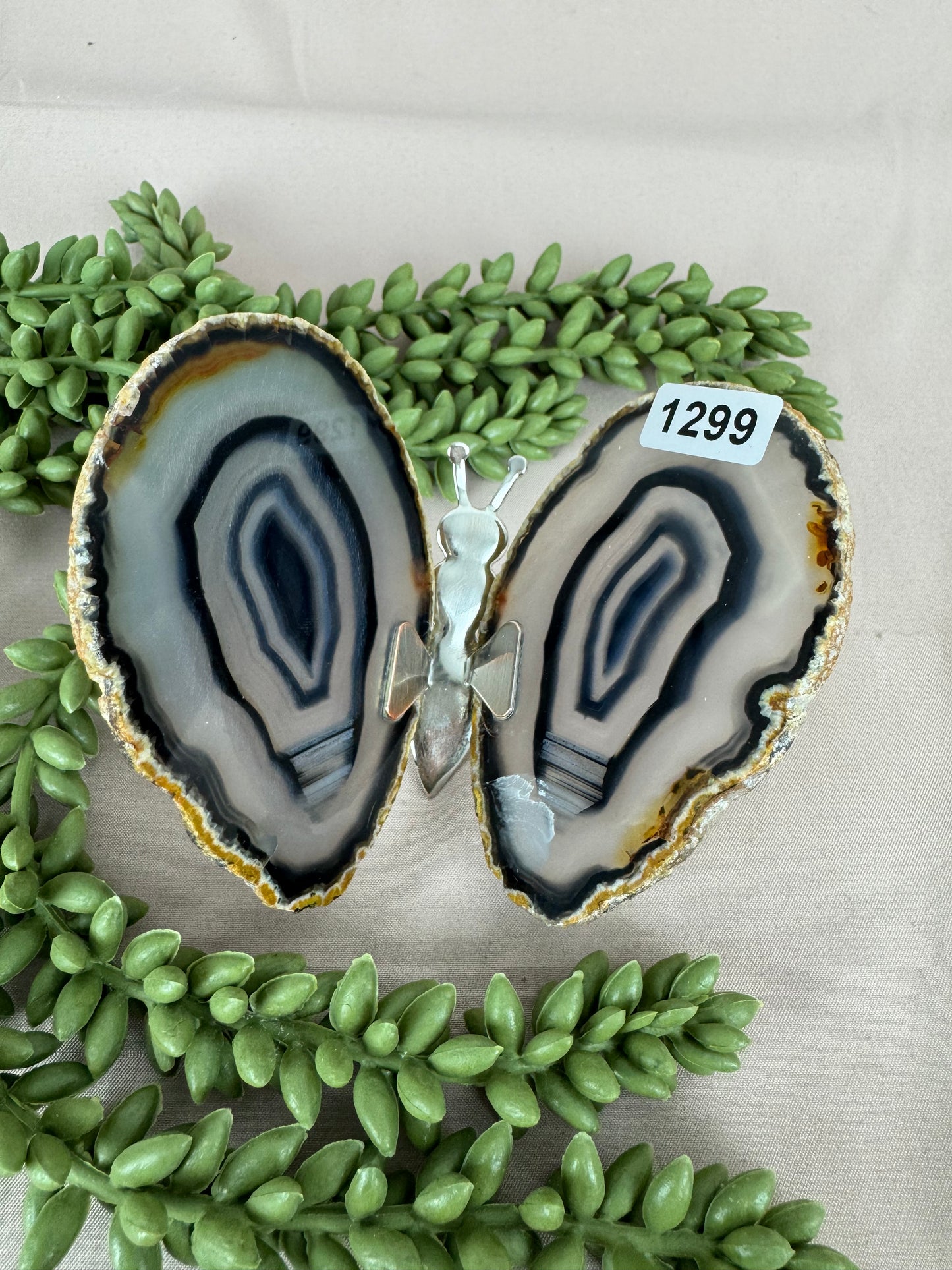 Agaat vlinder #1299