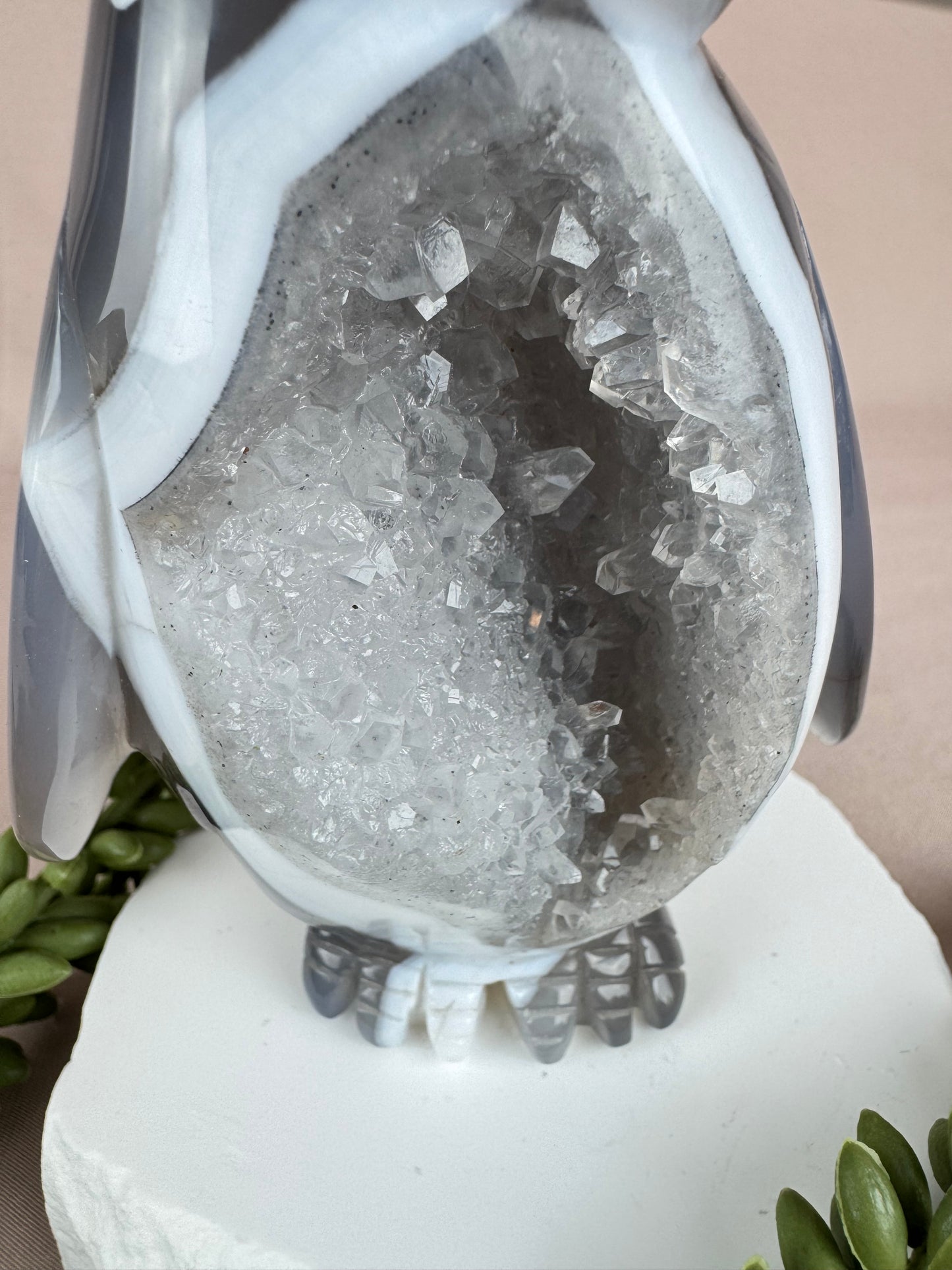 agaat Pinguïn #1336