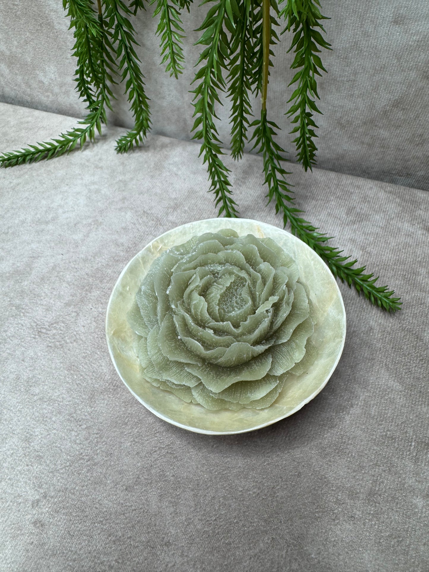 Rond Schelpen schaaltje