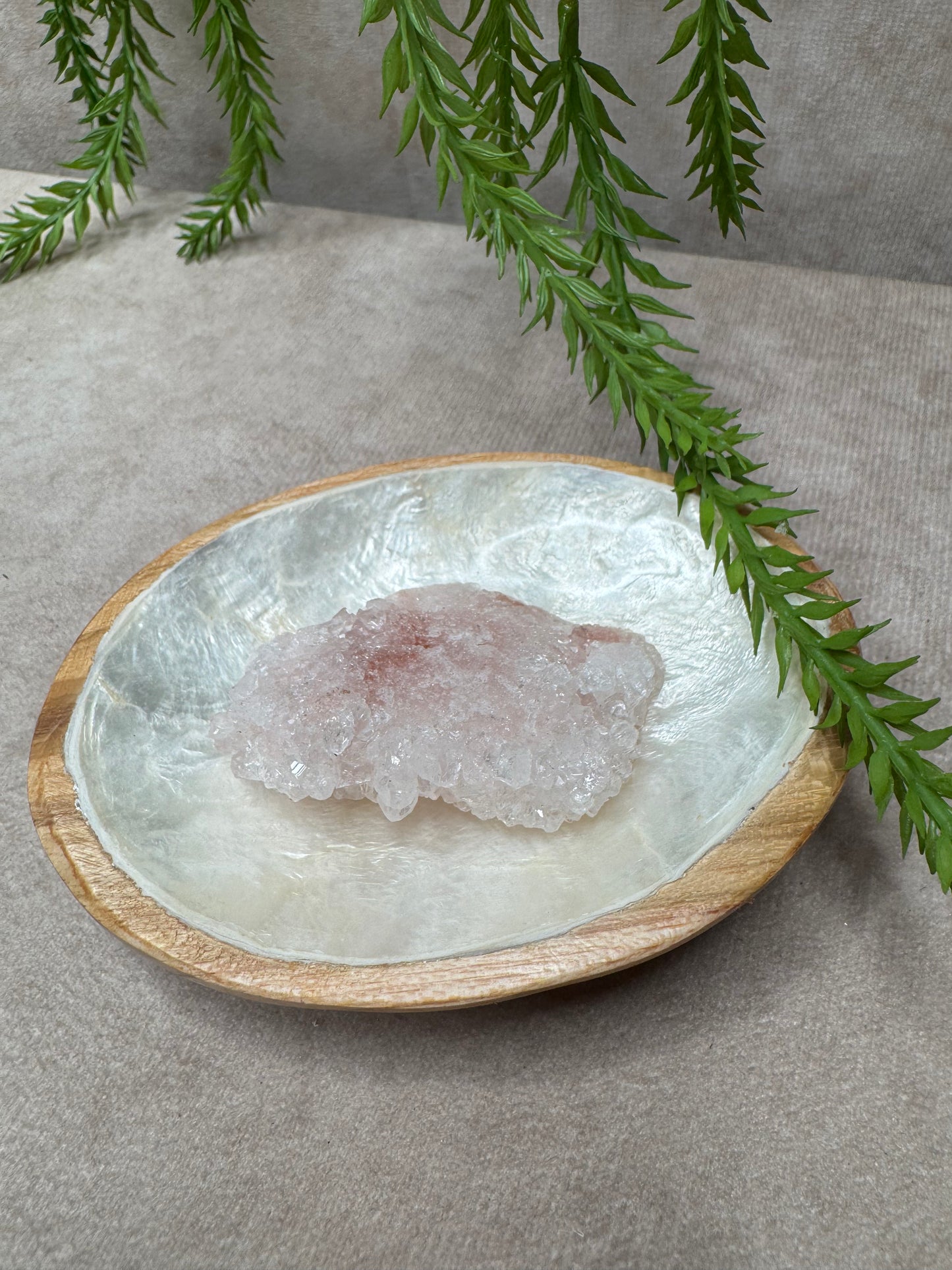 Ovaal schelpen schaaltje