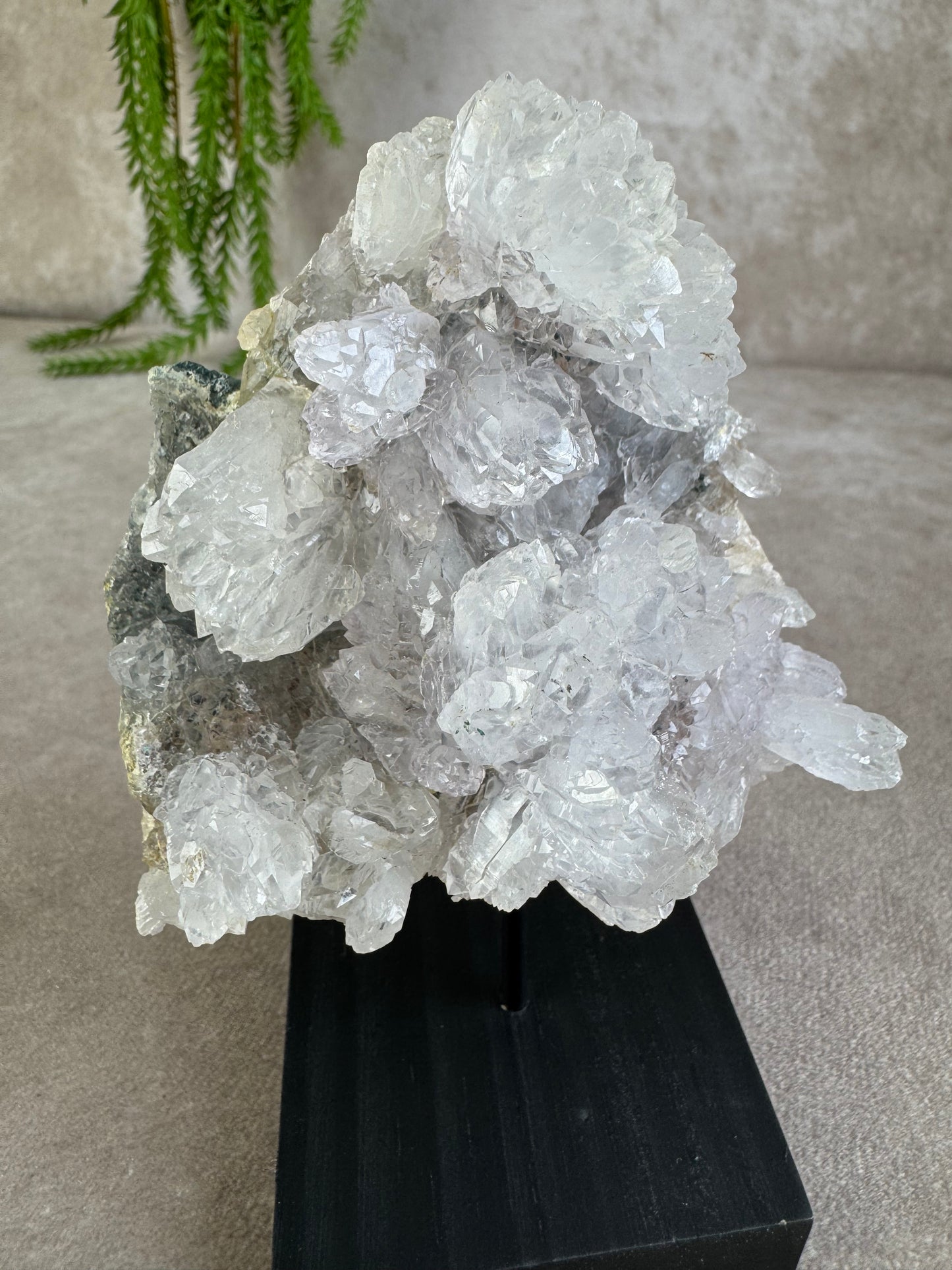 Flower amethist #1487