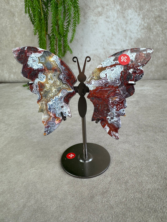 Vlinder crazy lace agaat #36