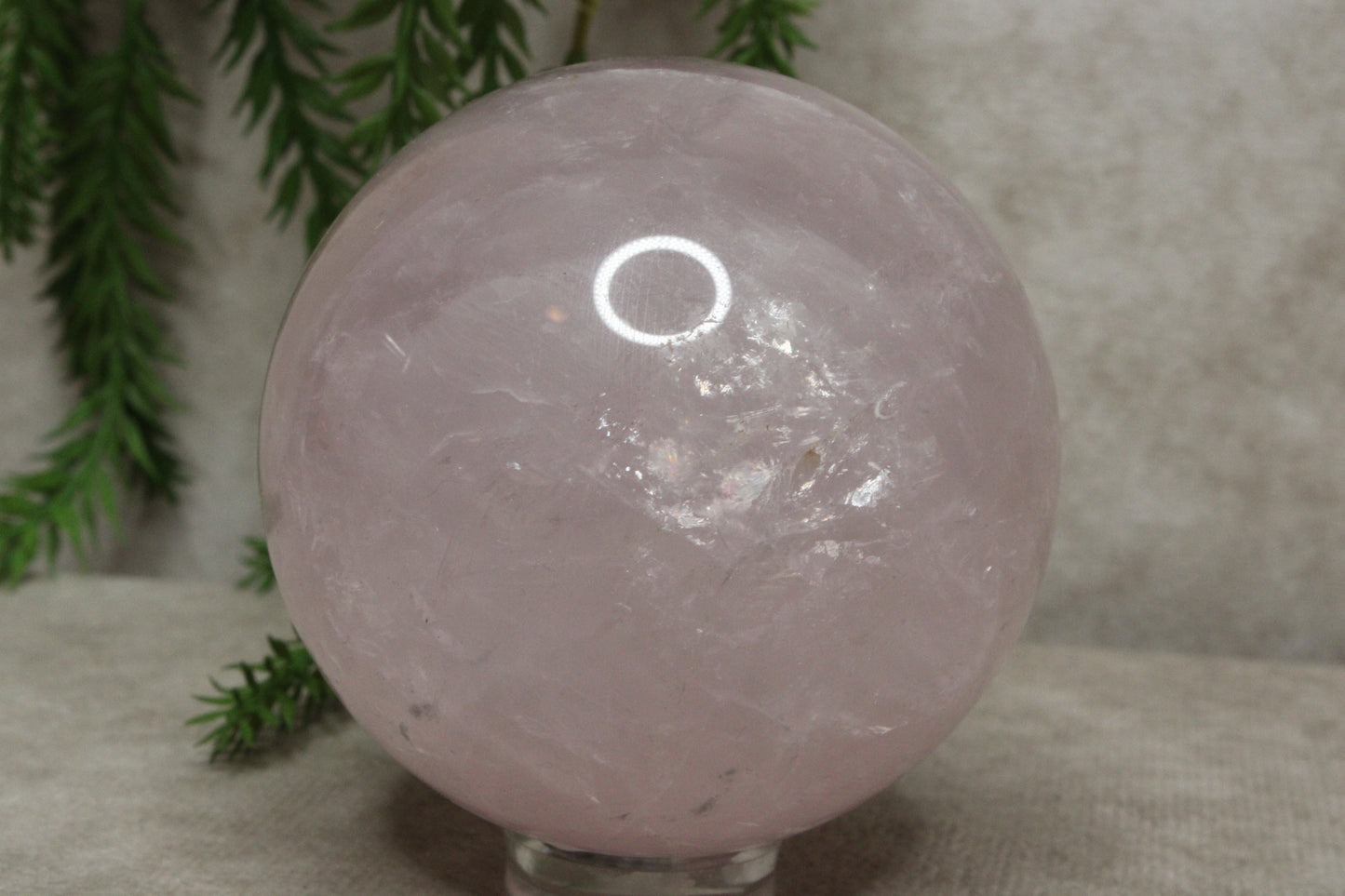 Rozenkwarts bol #0239