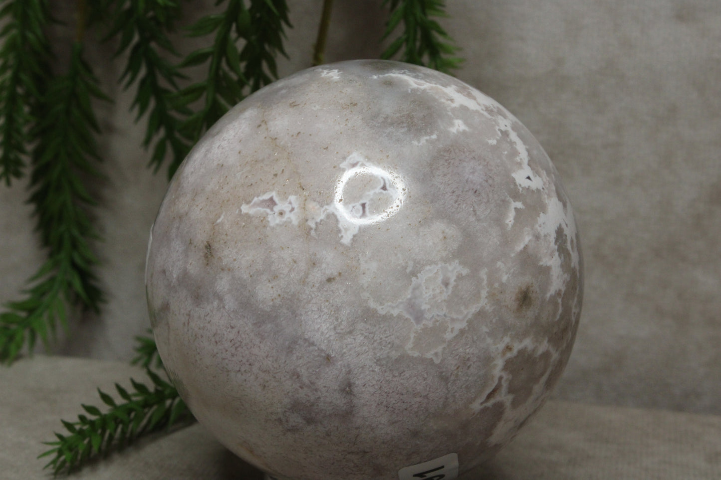 Bloemagaat bol #0491