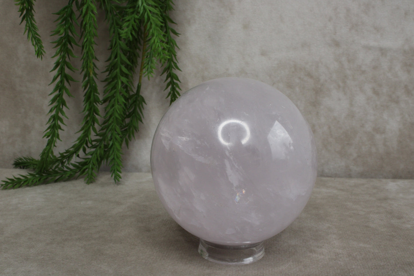 Rozenkwarts bol #1440