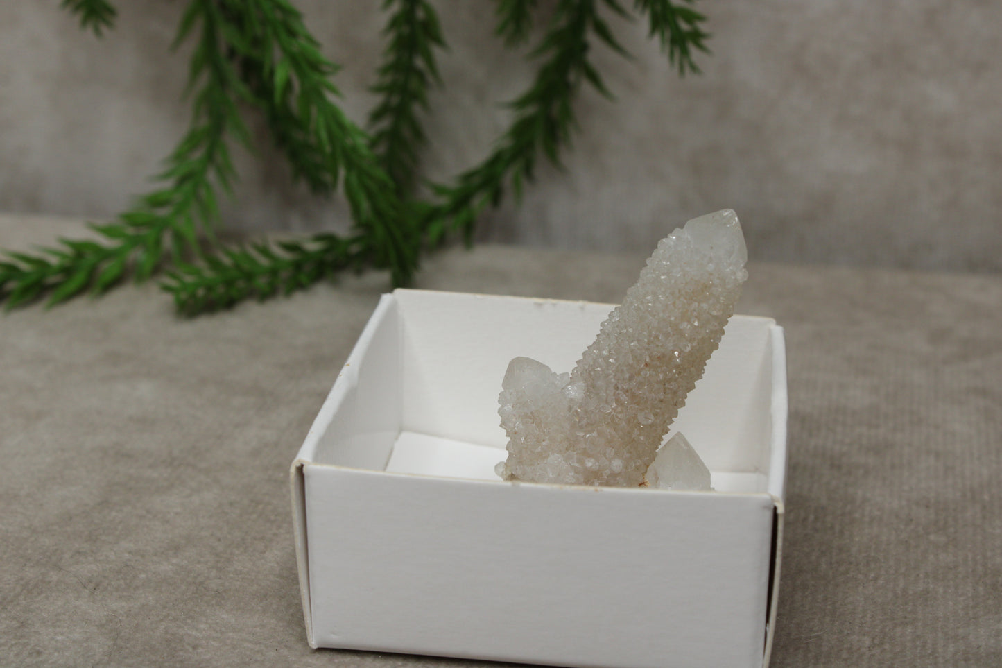 Cactus kwarts / Spirit kwarts #20