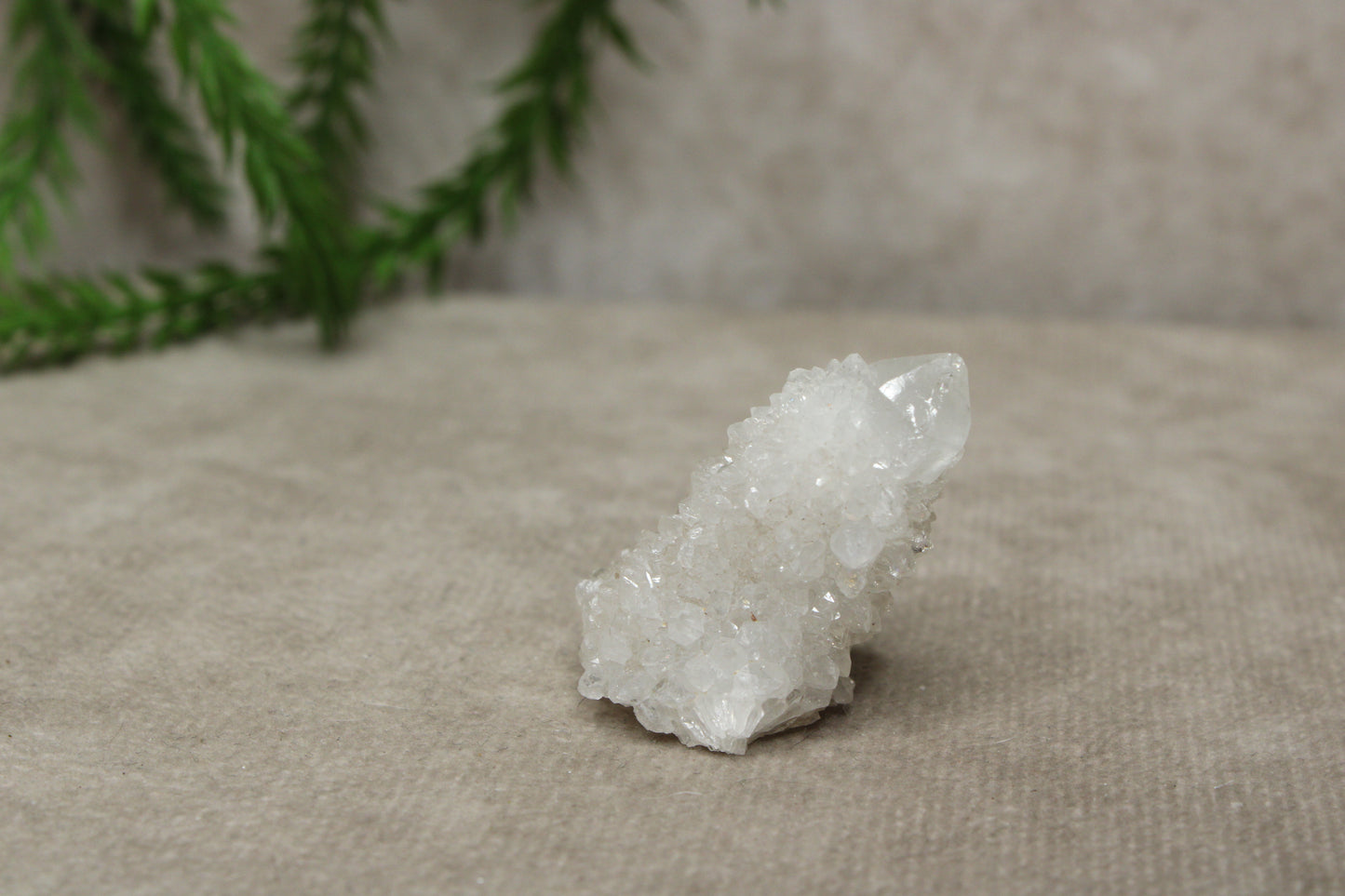 Cactus kwarts / Spirit kwarts #11