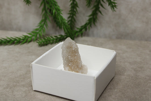 Cactus kwarts /Spirit kwarts #29