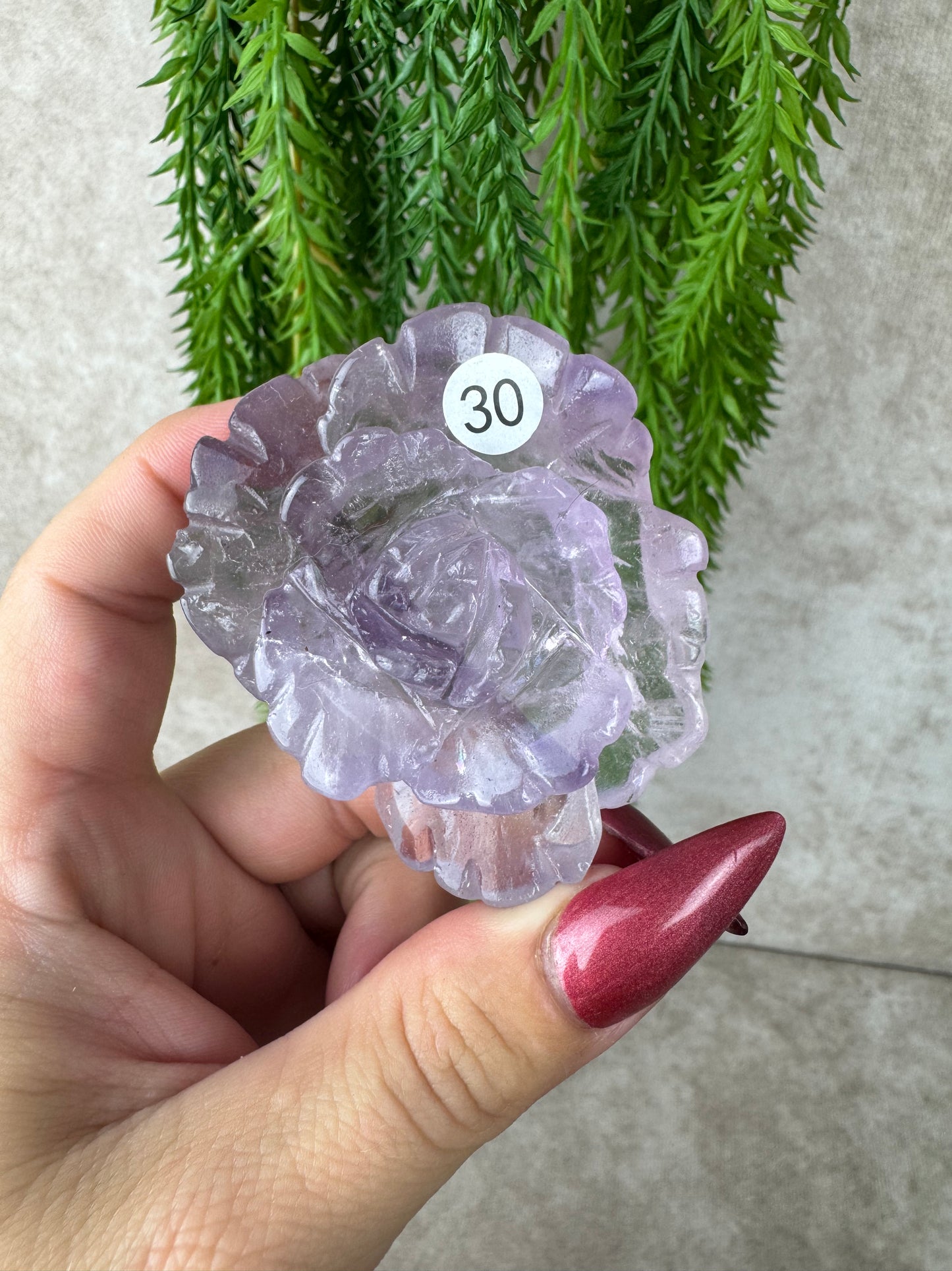 Amethist roos #30