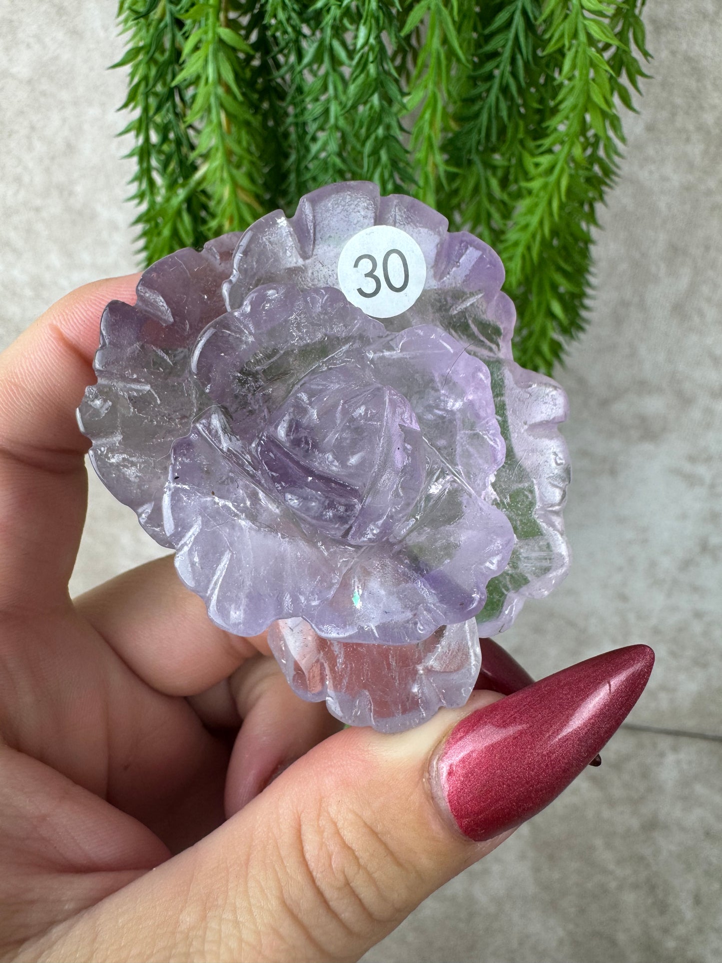 Amethist roos #30