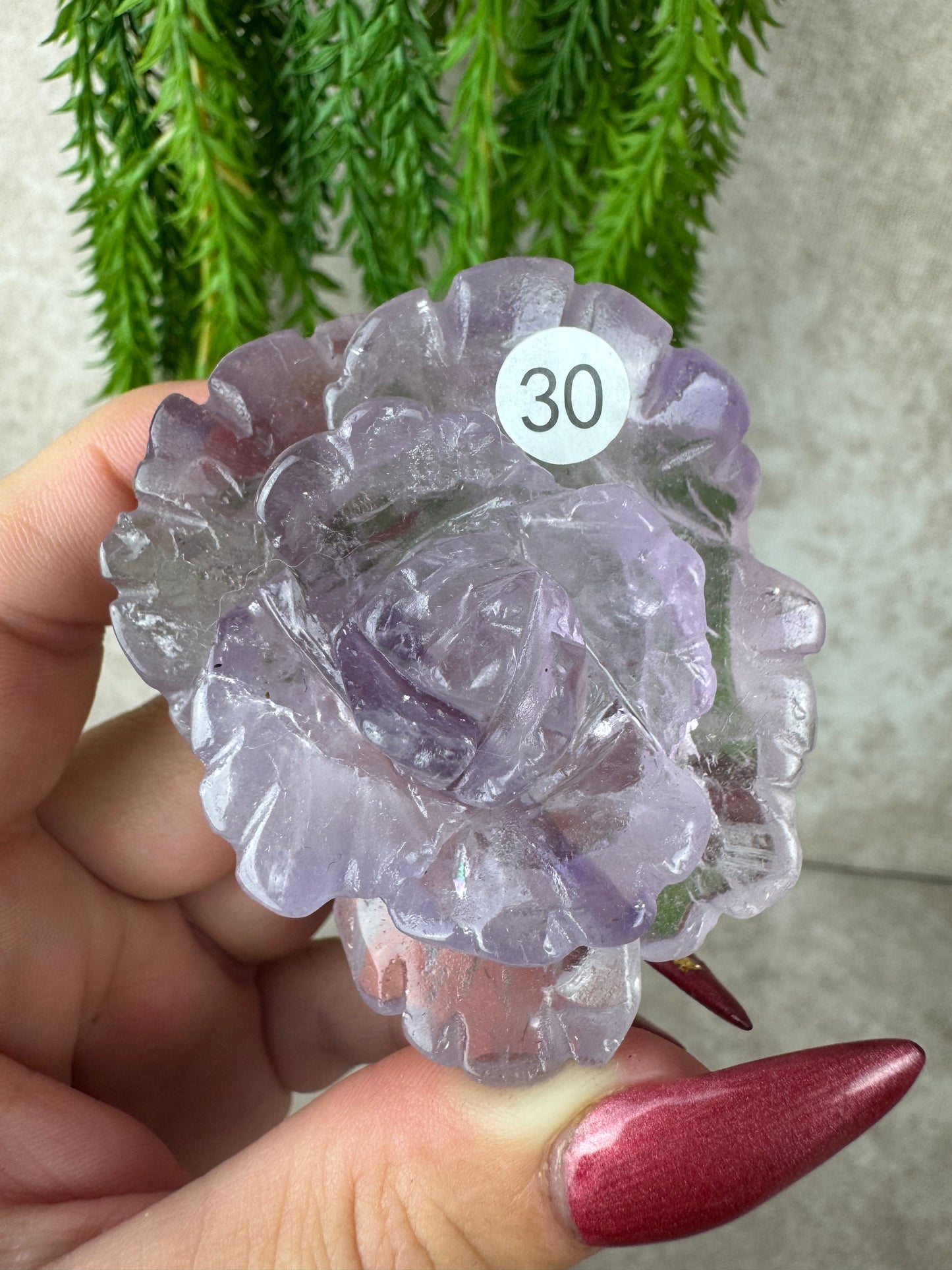 Amethist roos #30