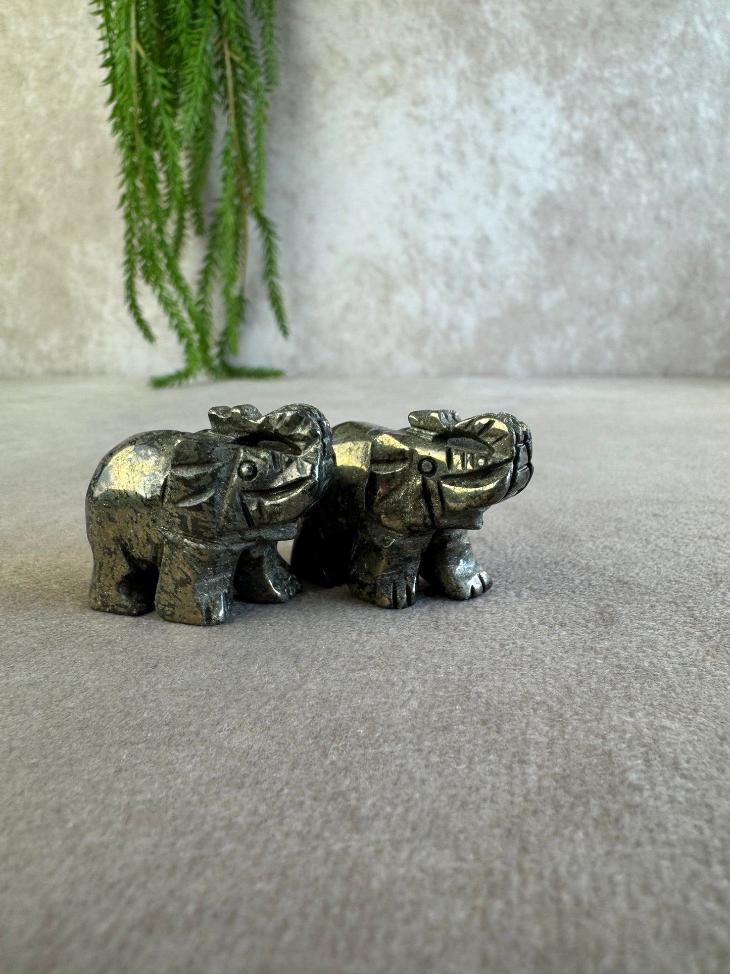 Olifant Pyriet