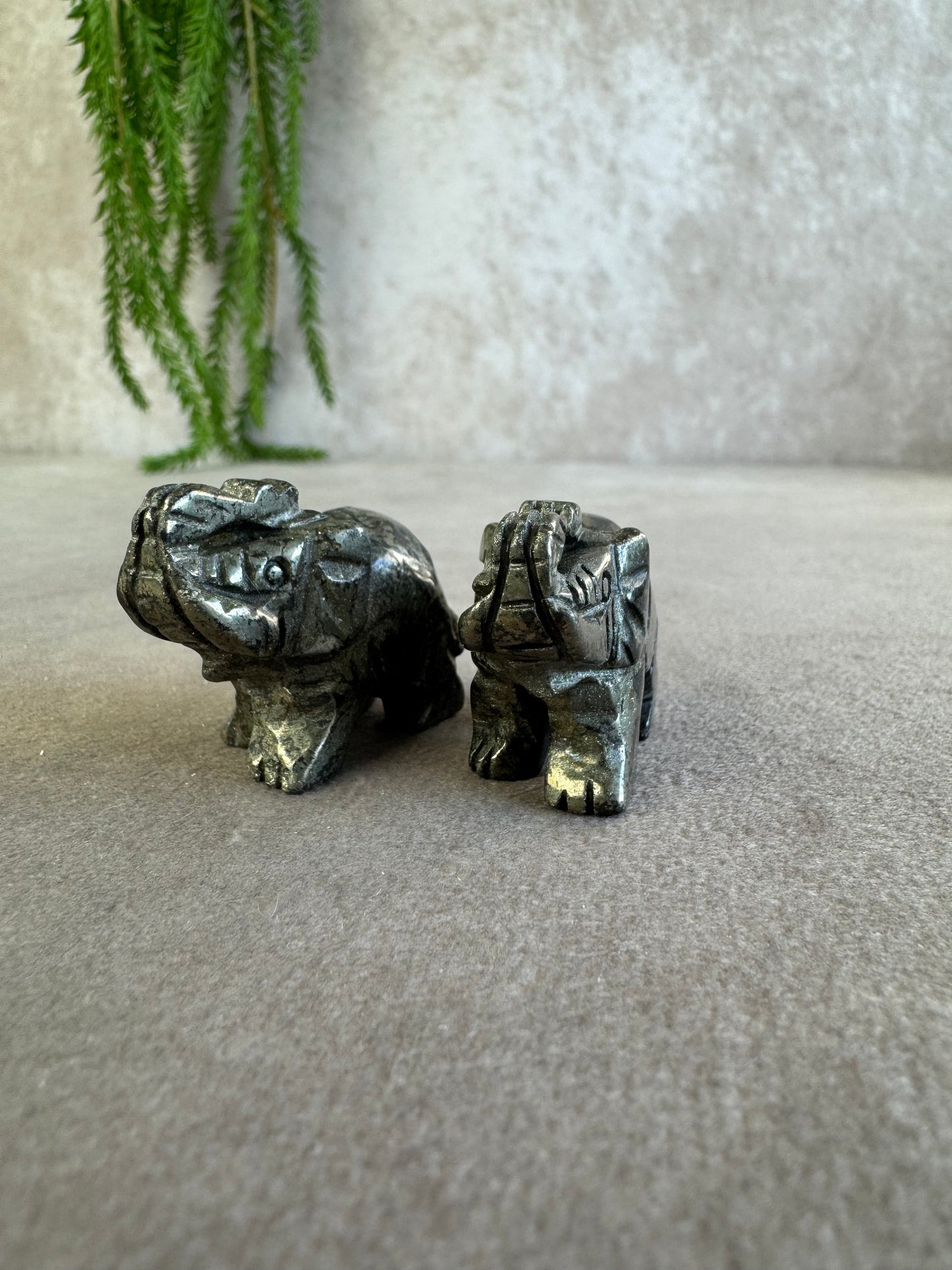 Olifant Pyriet