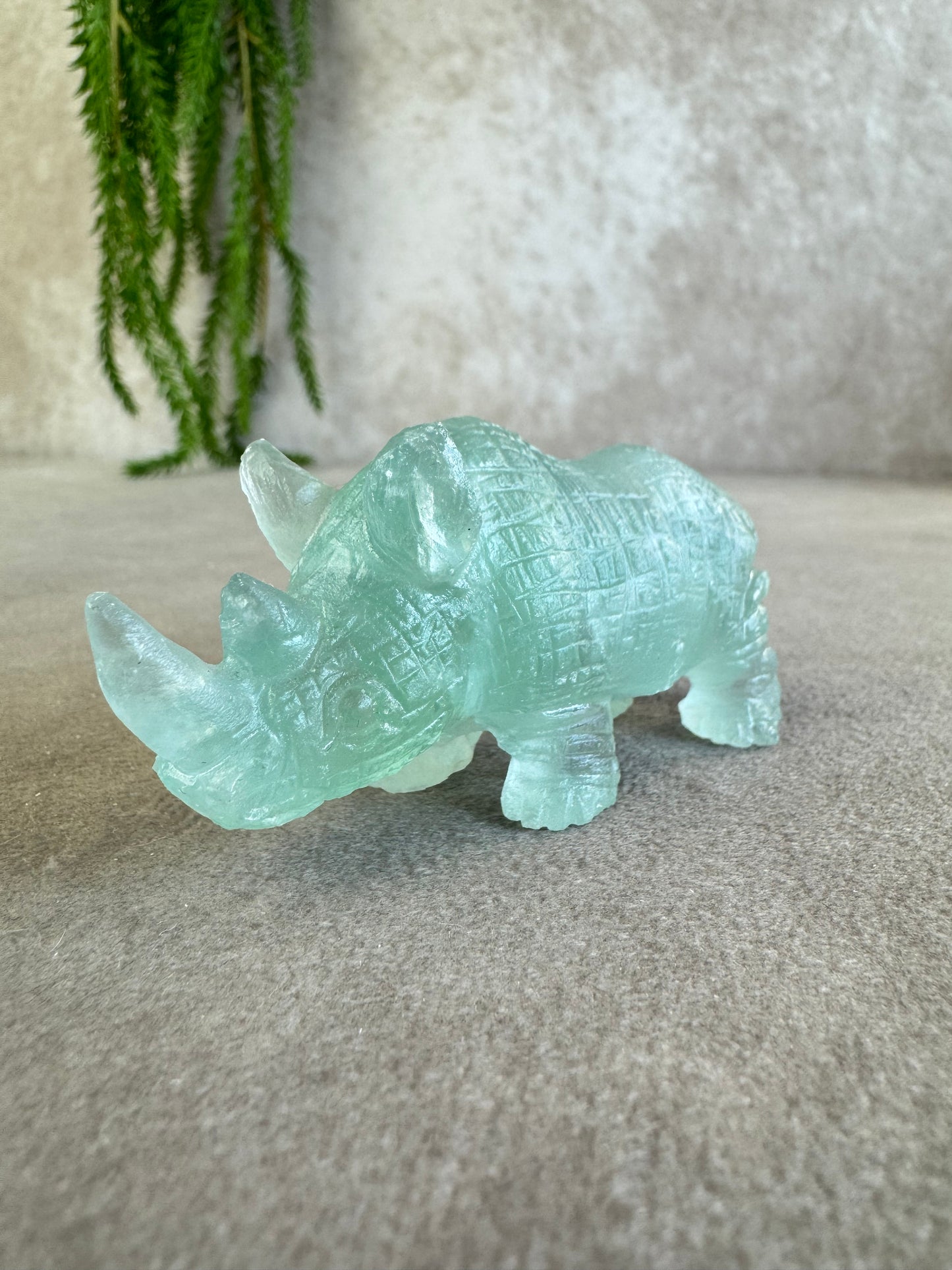 Neushoorn turquoise