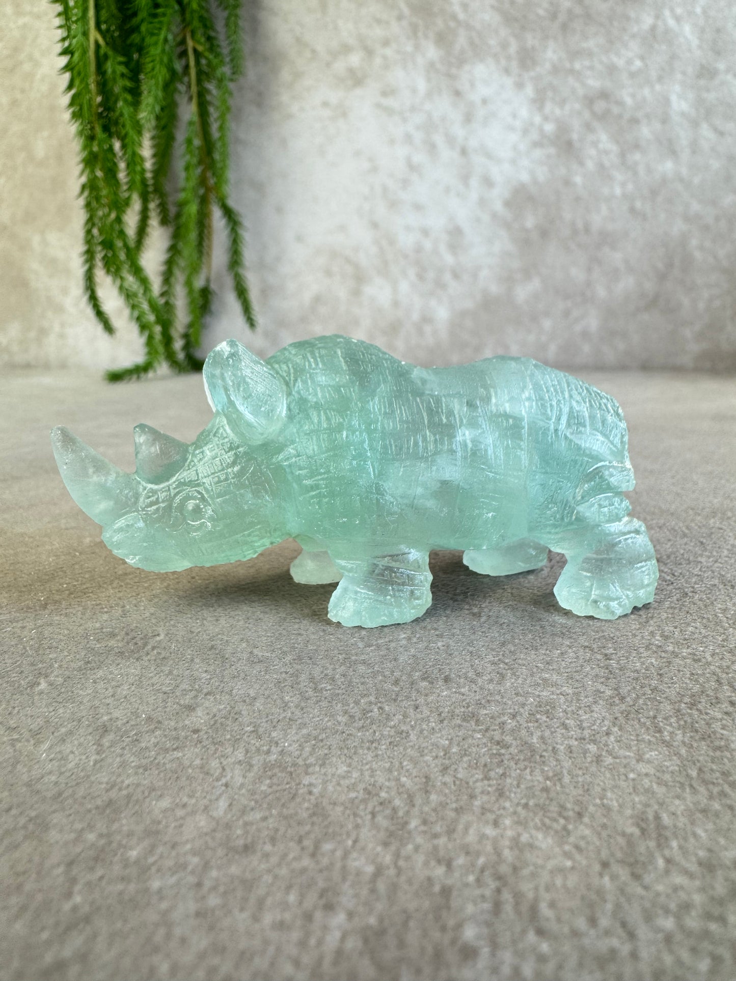 Neushoorn turquoise
